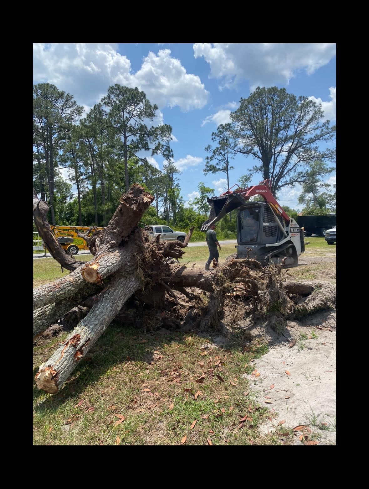  for McGraw’s Lawn and Tree Service in DeLand, FL