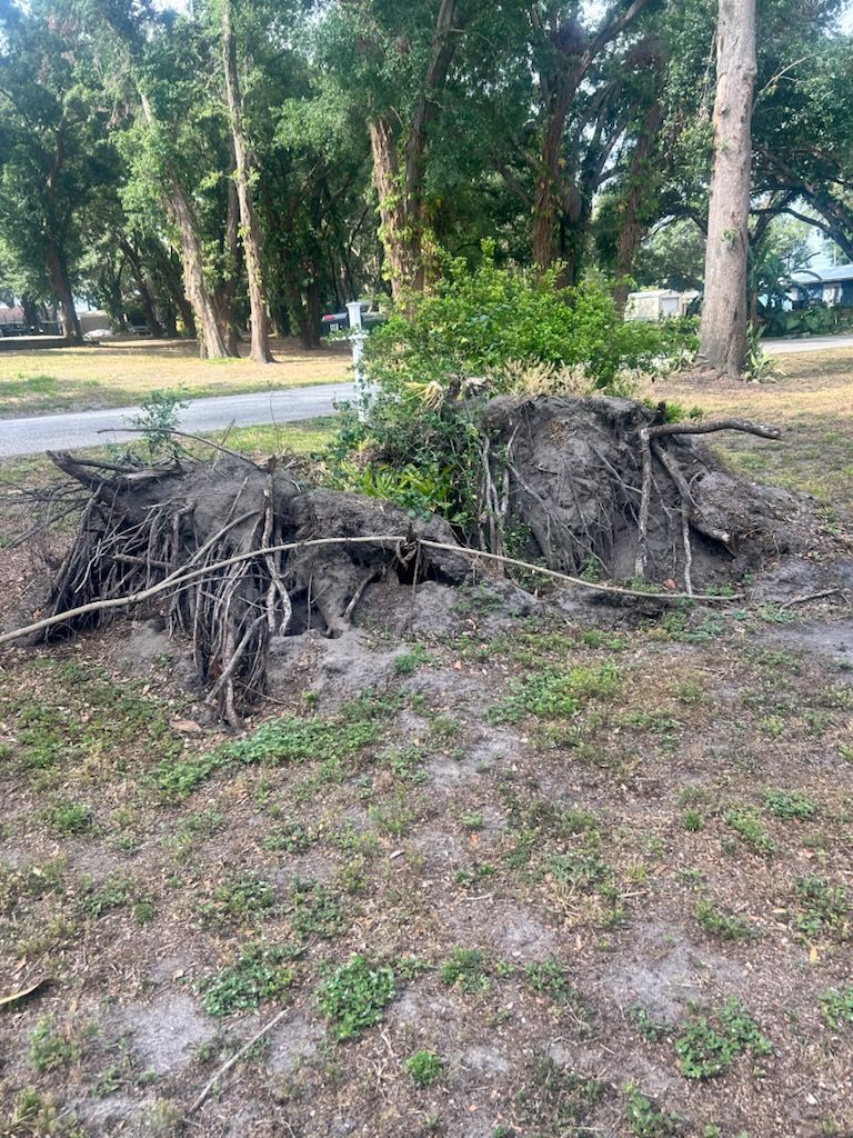  for Greene Acres Stump Grinding in Plant City, FL