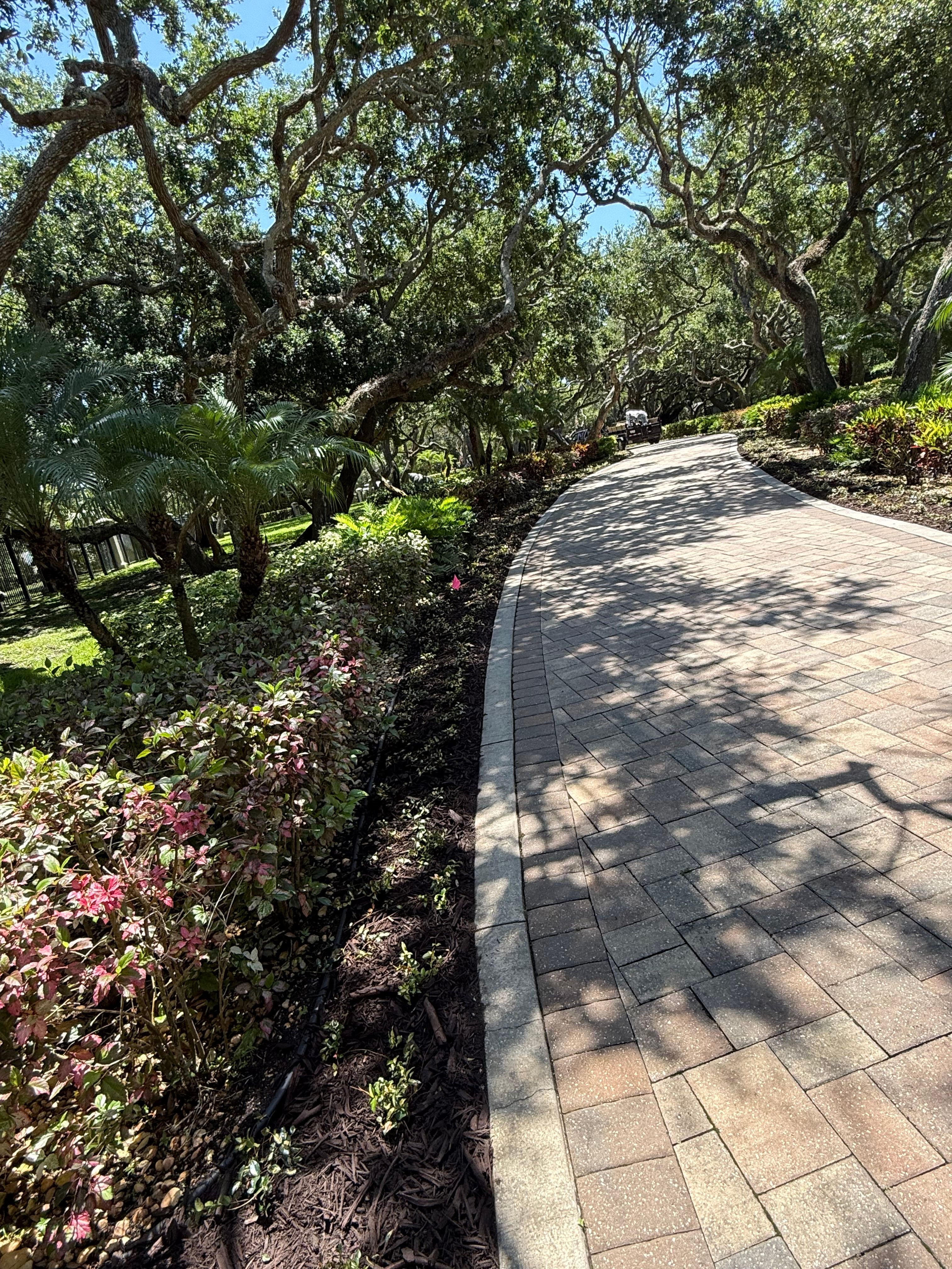  for Vanic's Landscaping in Port Orange, FL