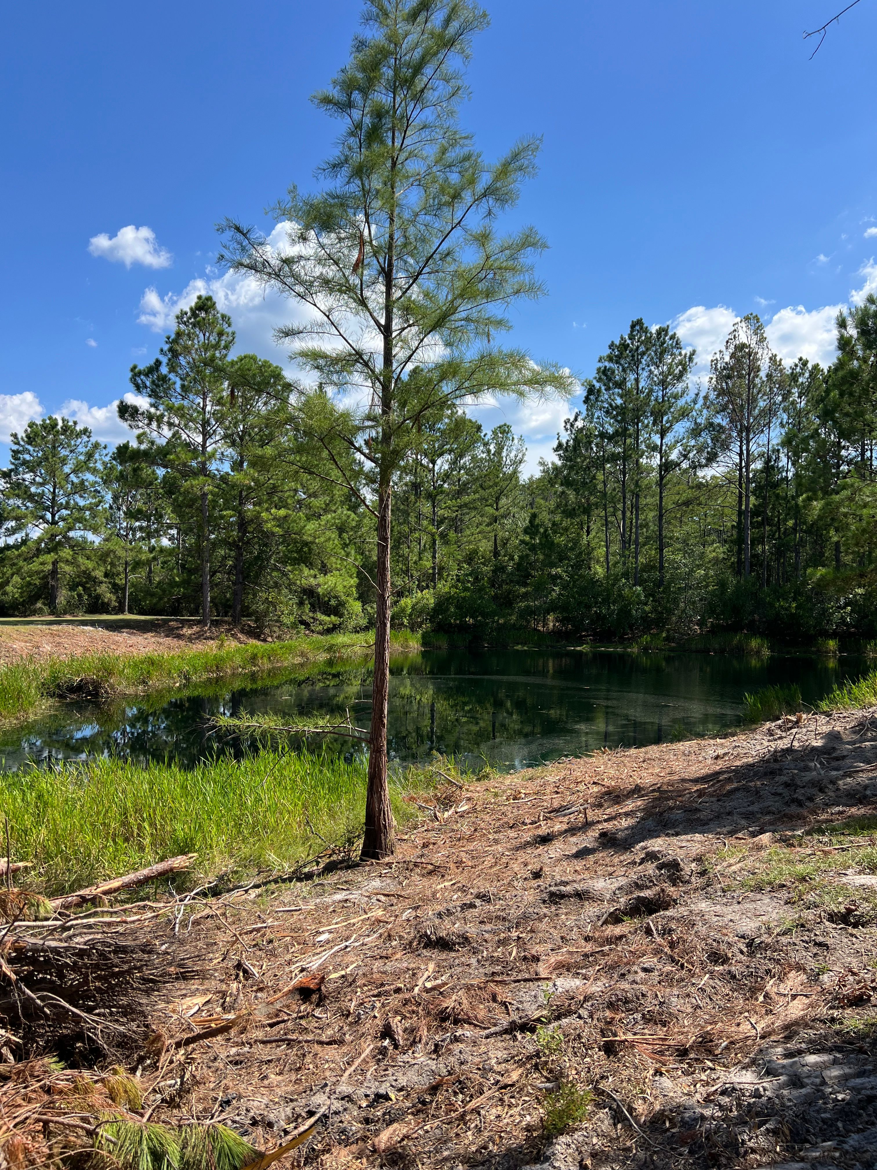  for Bay Hill Development in Nahunta, GA