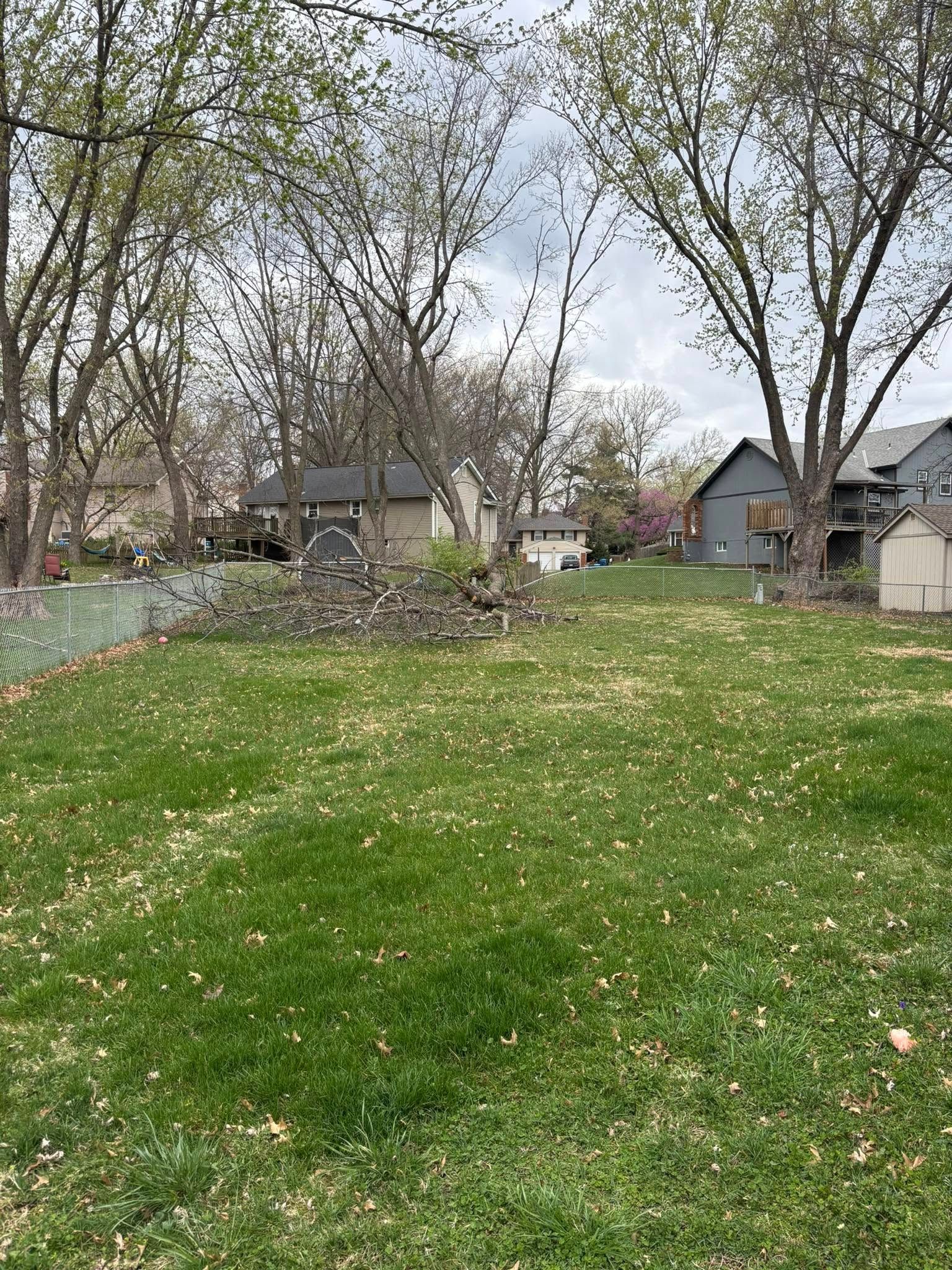 Tree Removal for Cross Family Tree Service in Kearney, MO