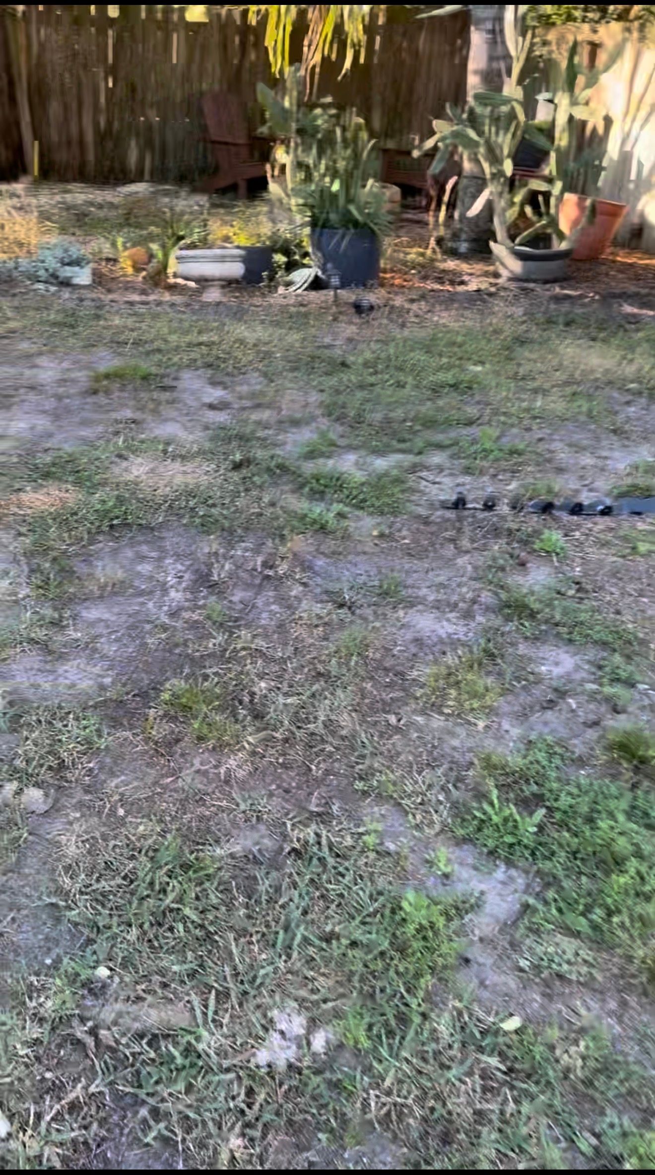  for Whole 9 Yards Services in Green Cove Springs, FL