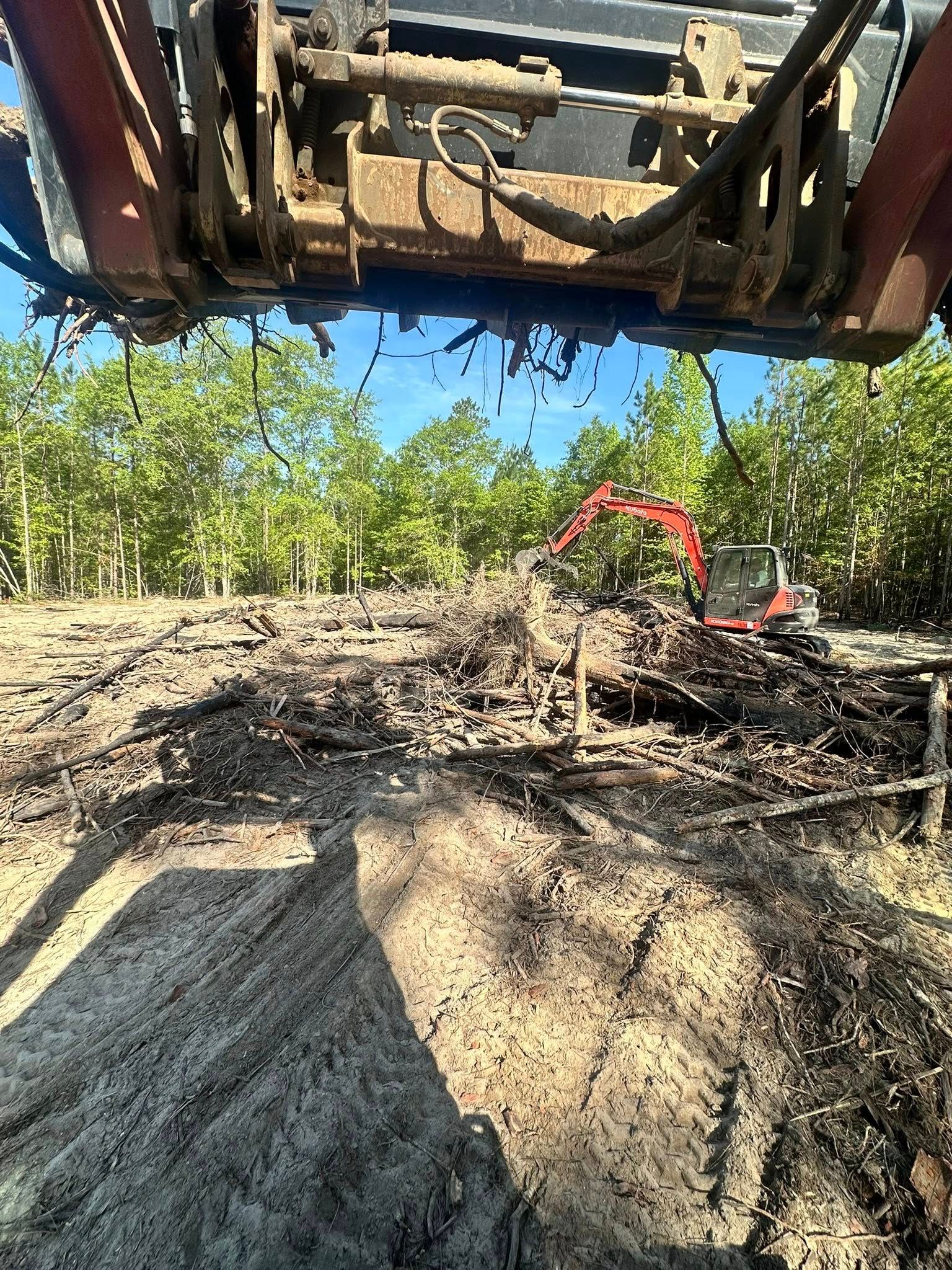 Tree Removal for Page Outdoor Services in Wrightsville, GA