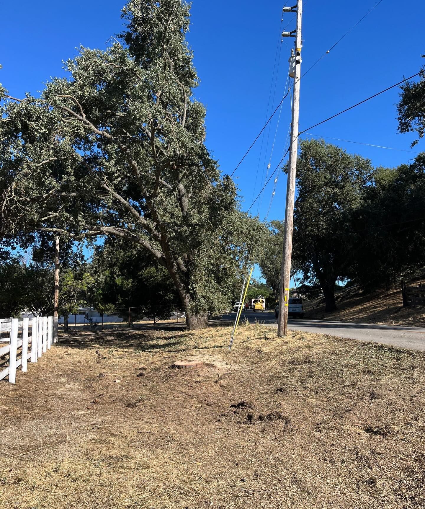  for A1 Junk & Tree Solutions, LLC in Paso Robles, CA