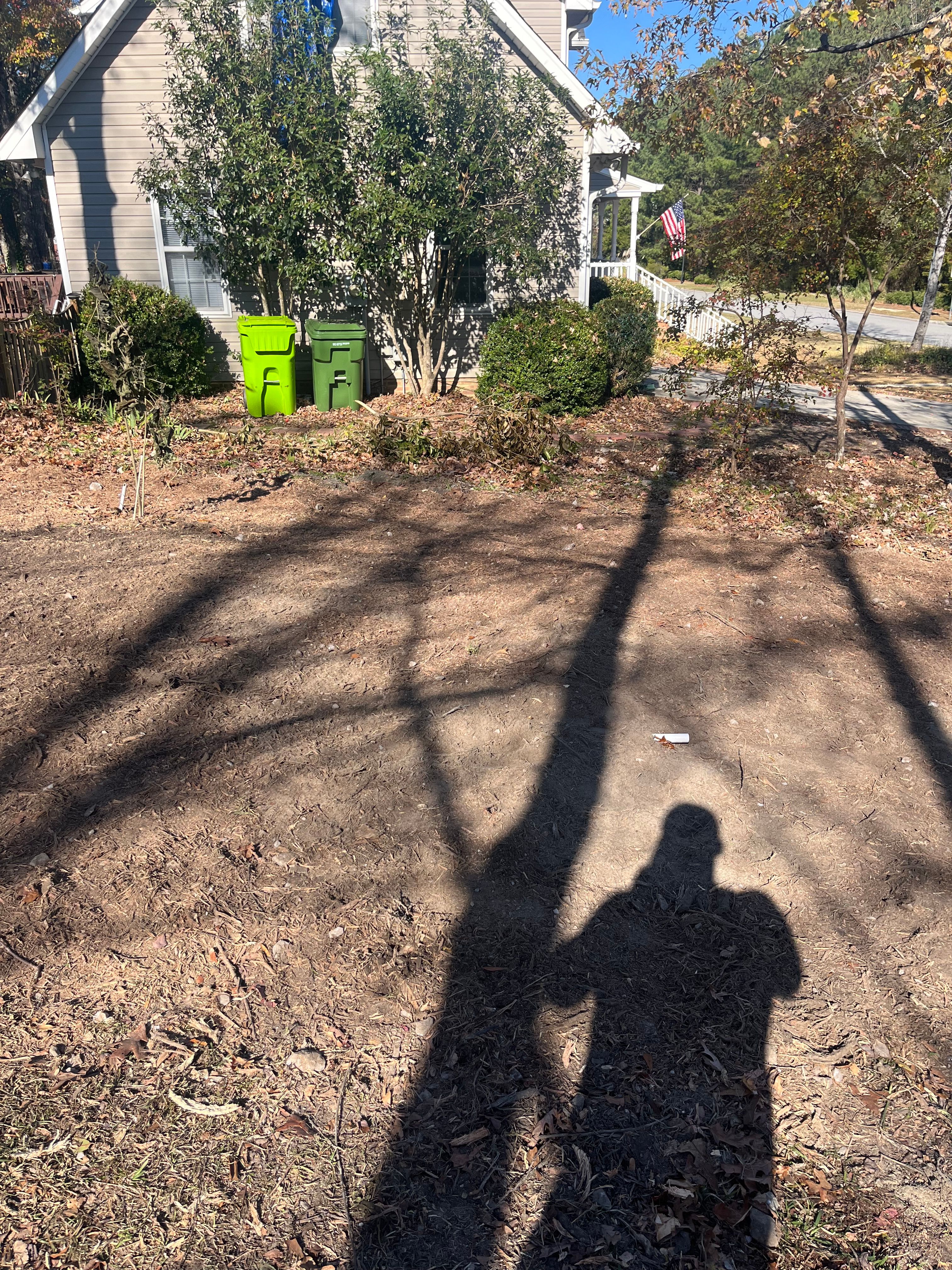 Stump Grinding for Otis Lee Stump Grinding LLC in Elgin, SC