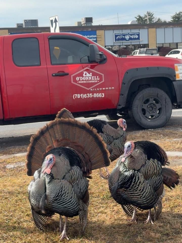  for O'Donnell Roofing & Carpentry in Derry, NH