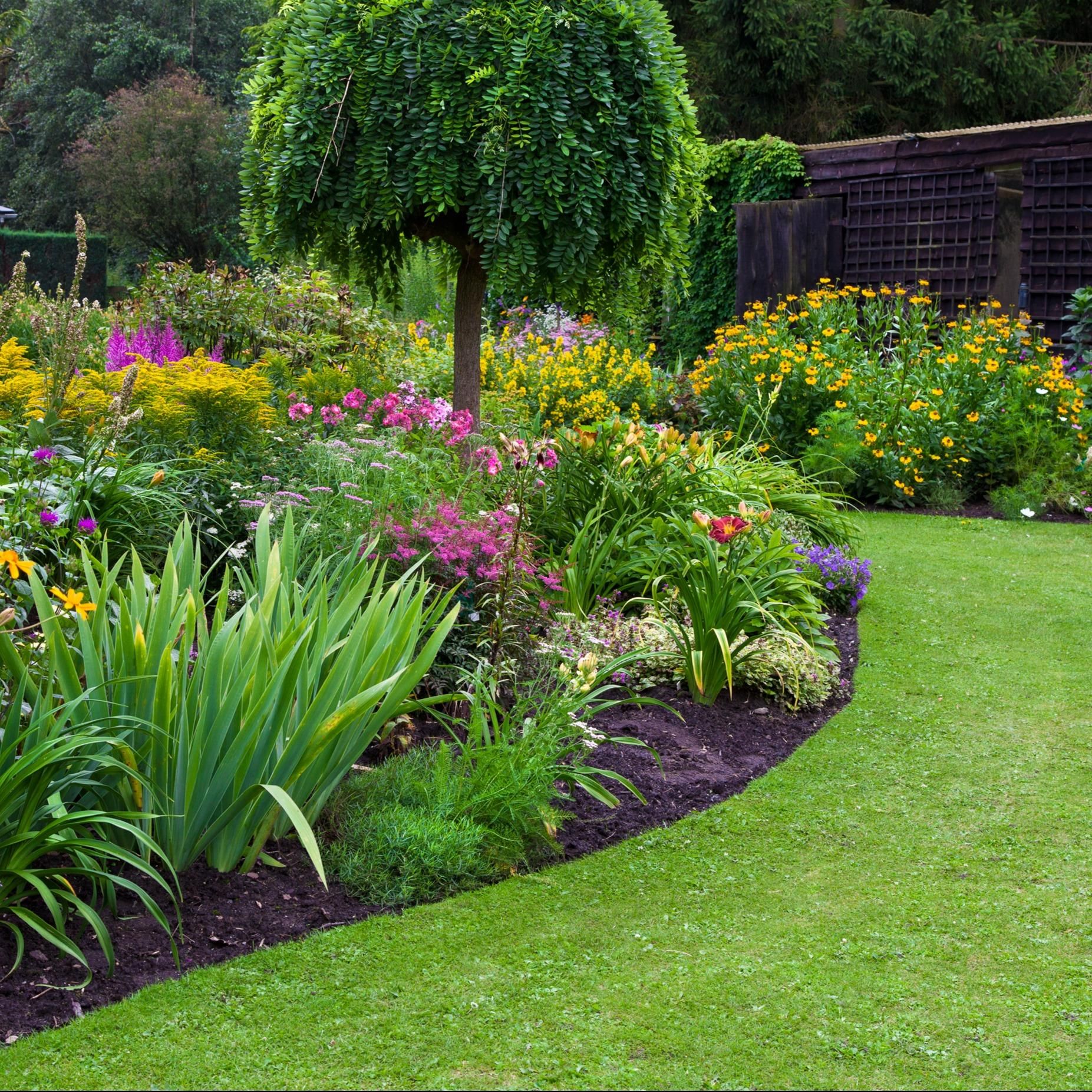  for TopNotch Landscaping Services  in The Villages, FL