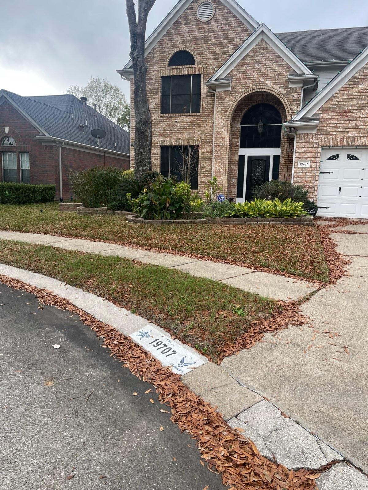  for Servin's Tree Care  in Houston, TX