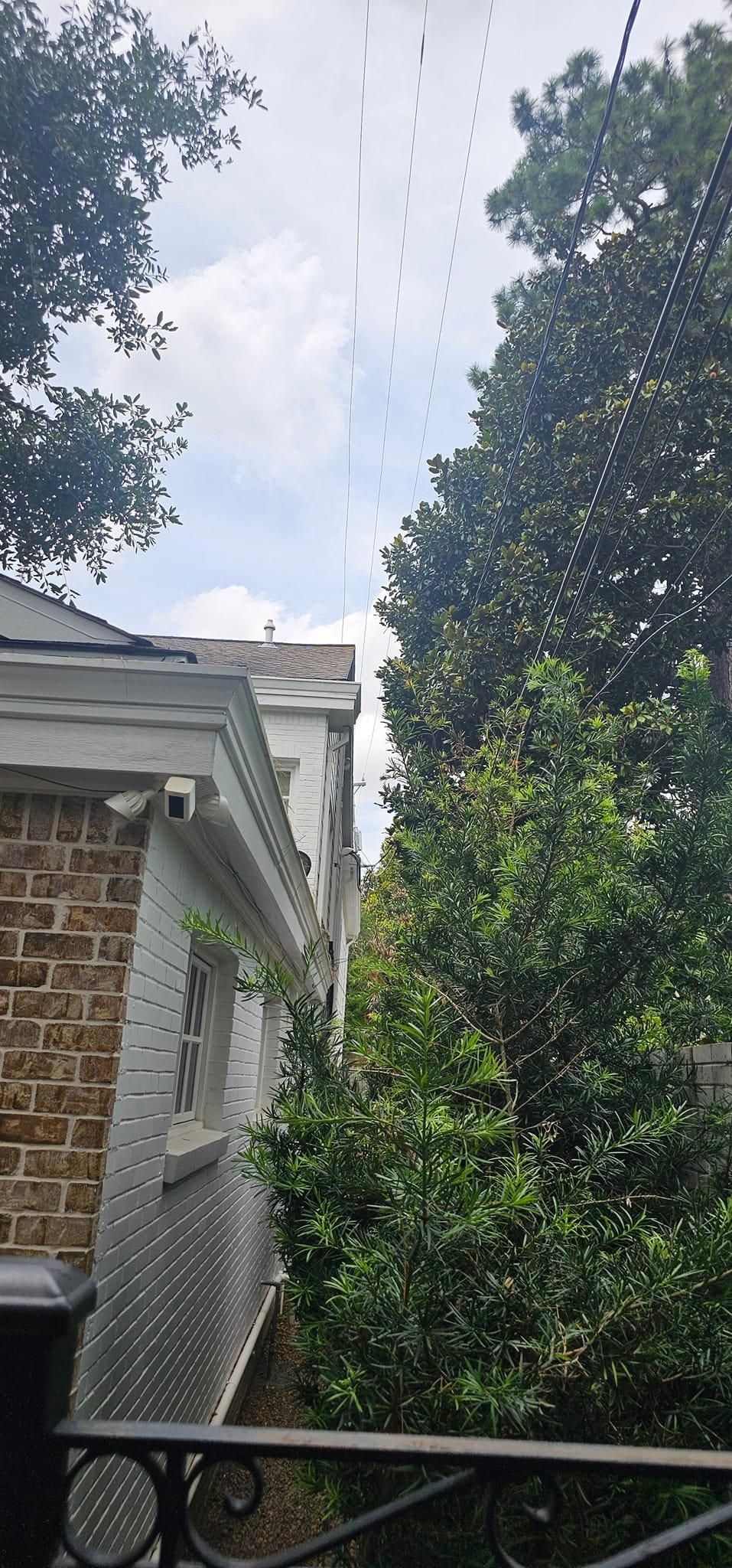  for Servin's Tree Care  in Houston, TX