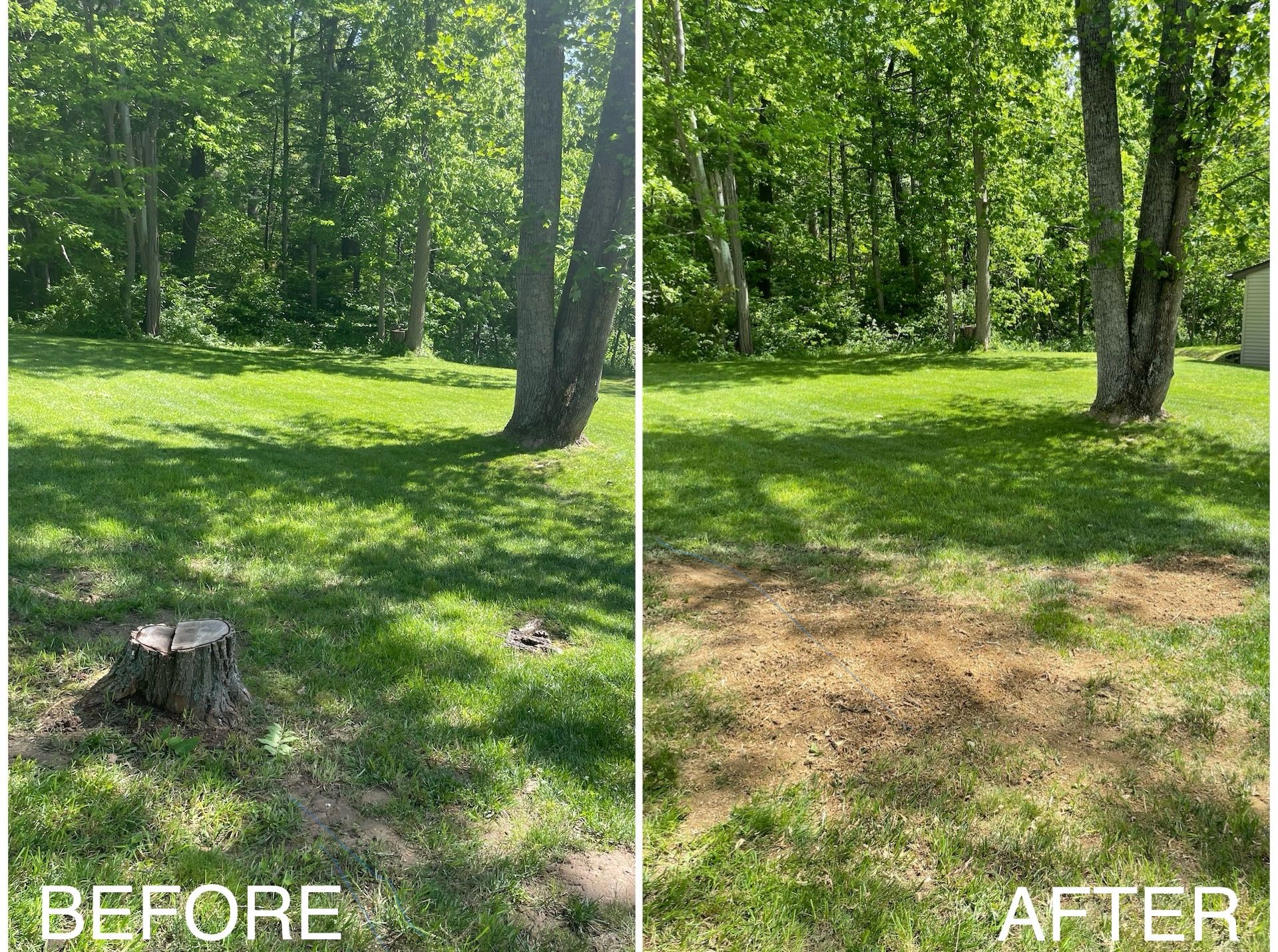  for H&H Stump Grinding in Chillicothe, OH