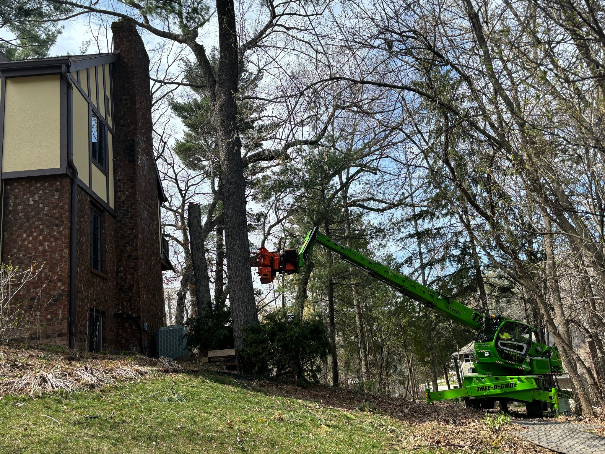  for Tree-B-Gone in Appleton, WI