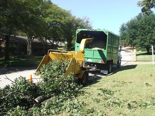  for TLC Professional Tree Service in Bedford, TX