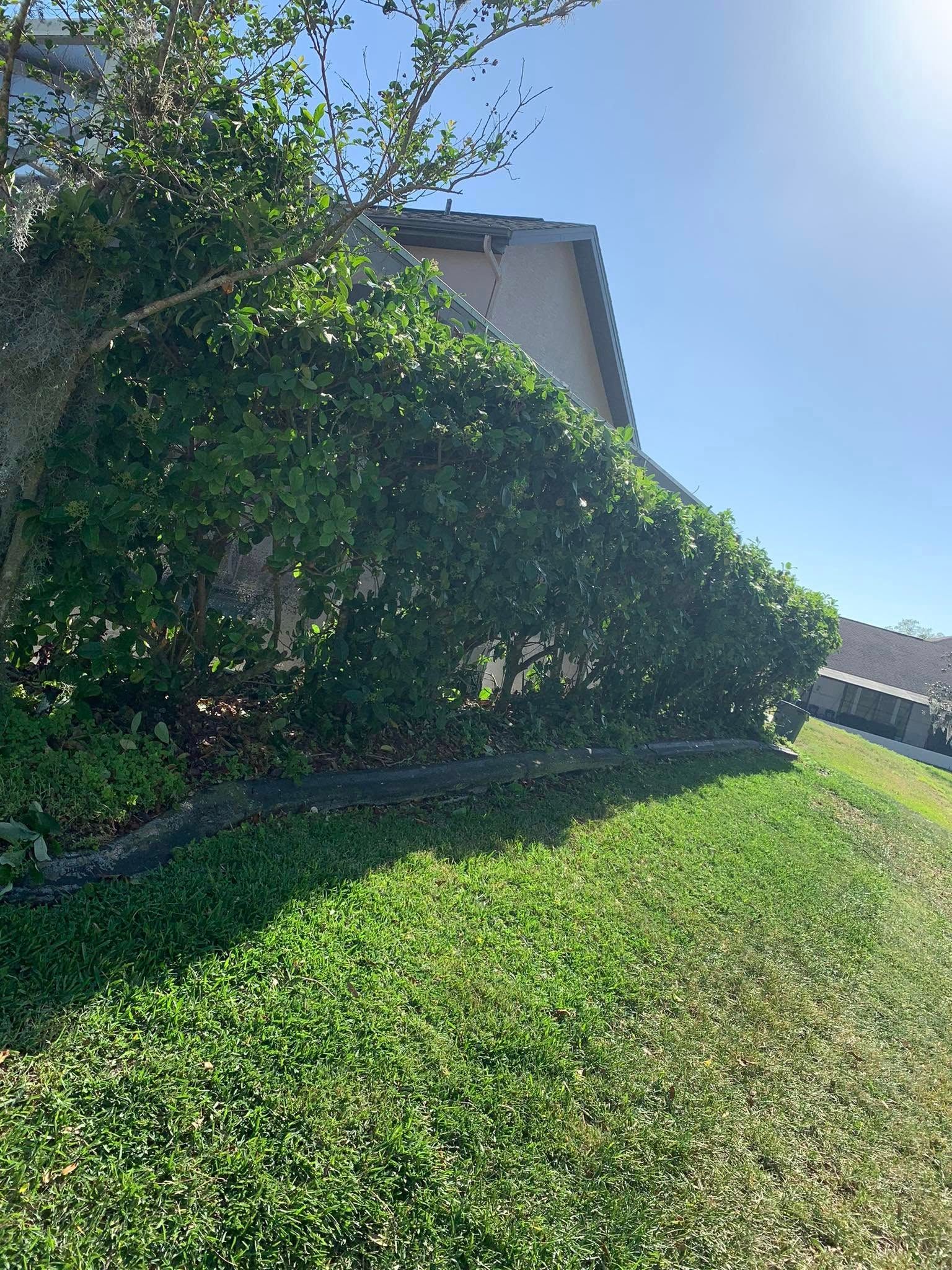  for Mitchell Lawn Service in Odessa, FL