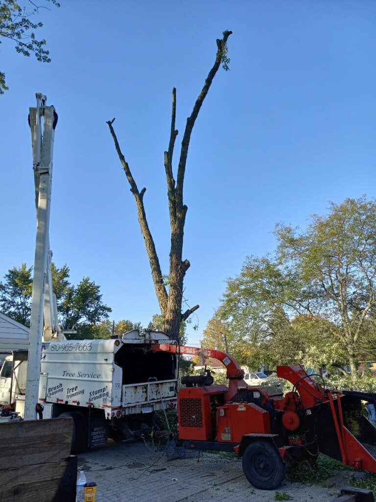 All Photos for The Bucking Arborists in Flint, MI