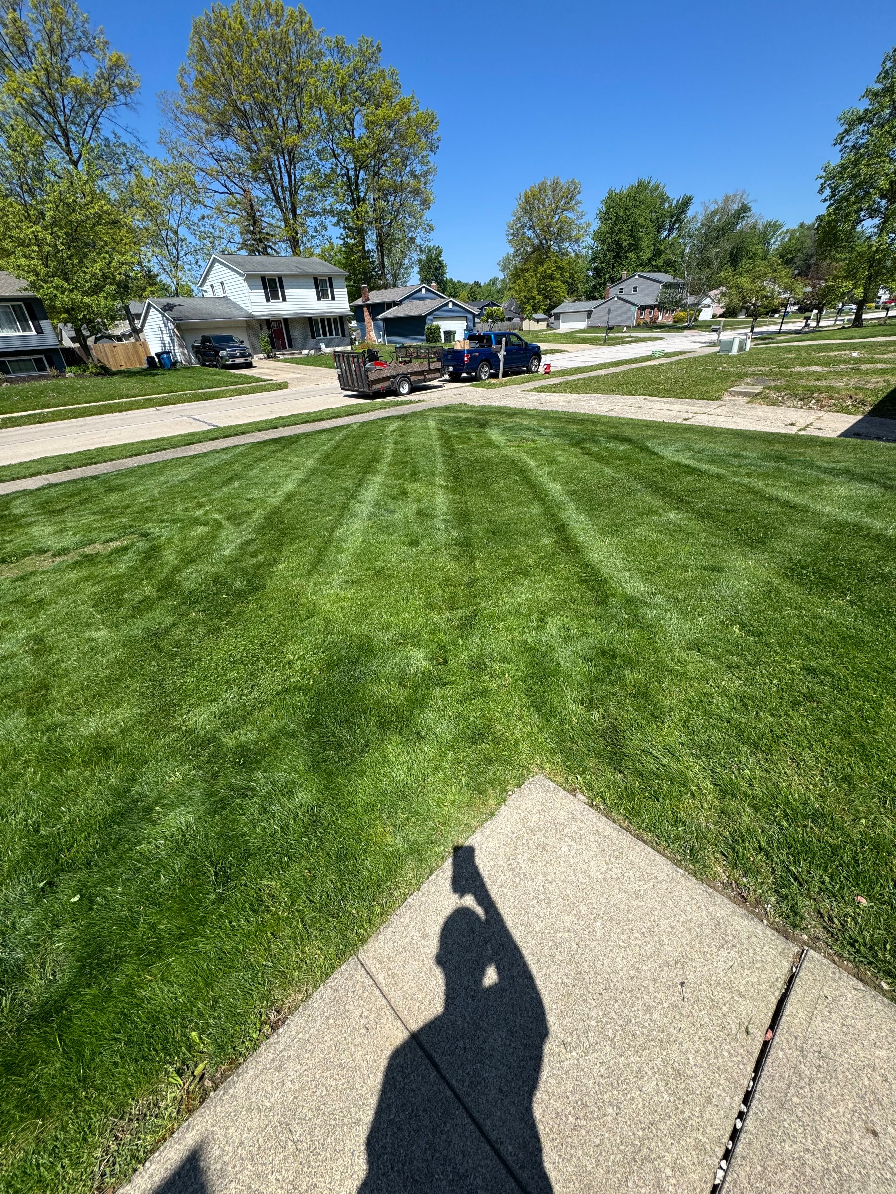  for Yard Theory in Willowick, OH