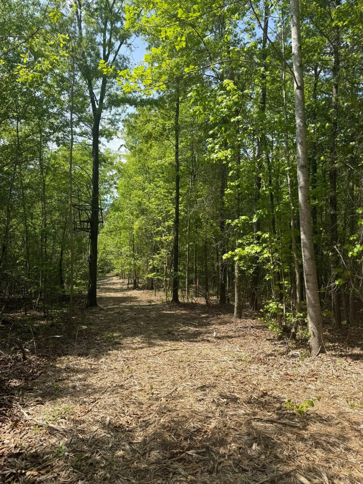  for KLNAX Enterprises in Newton County, GA