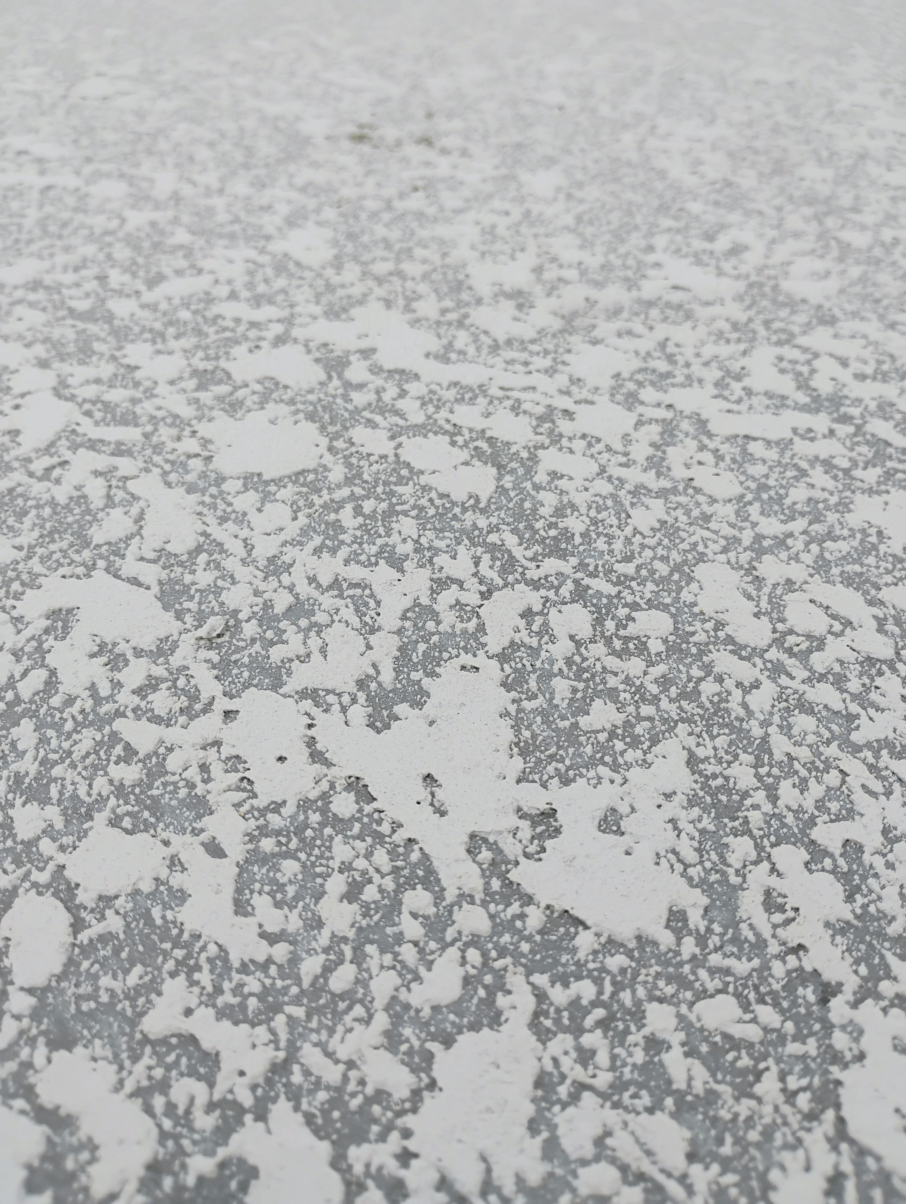  for American Acrylic Concrete Coatings in Longwood, FL