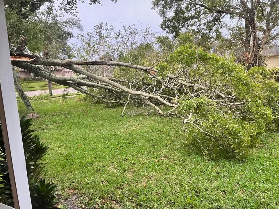  for Space Coast Property Maintenance and Management LLC in Melbourne, FL