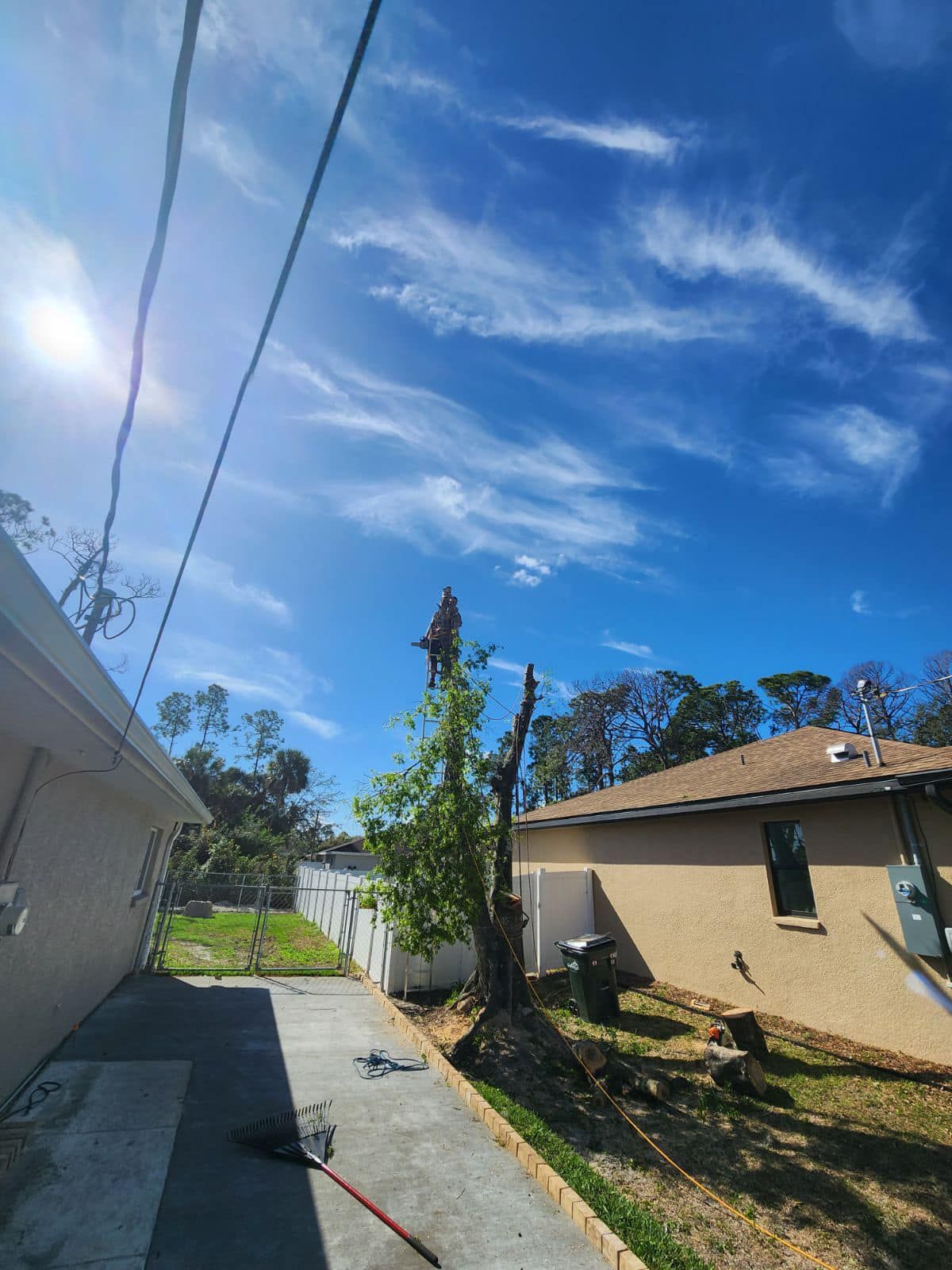  for Nick of Time Tree Service in North Port, FL