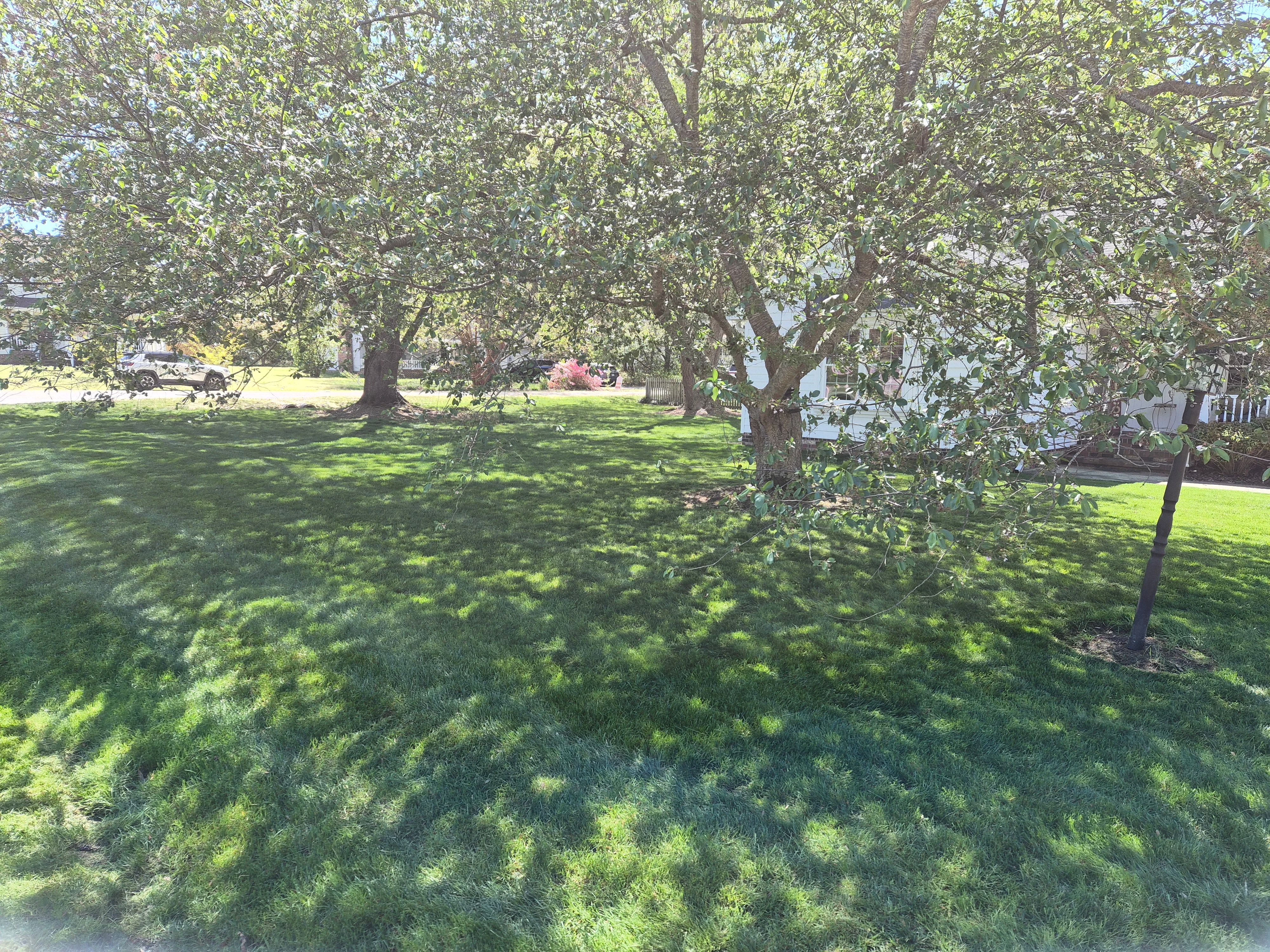 All Photos for 4 Points Lawncare LLC in Hayes, VA