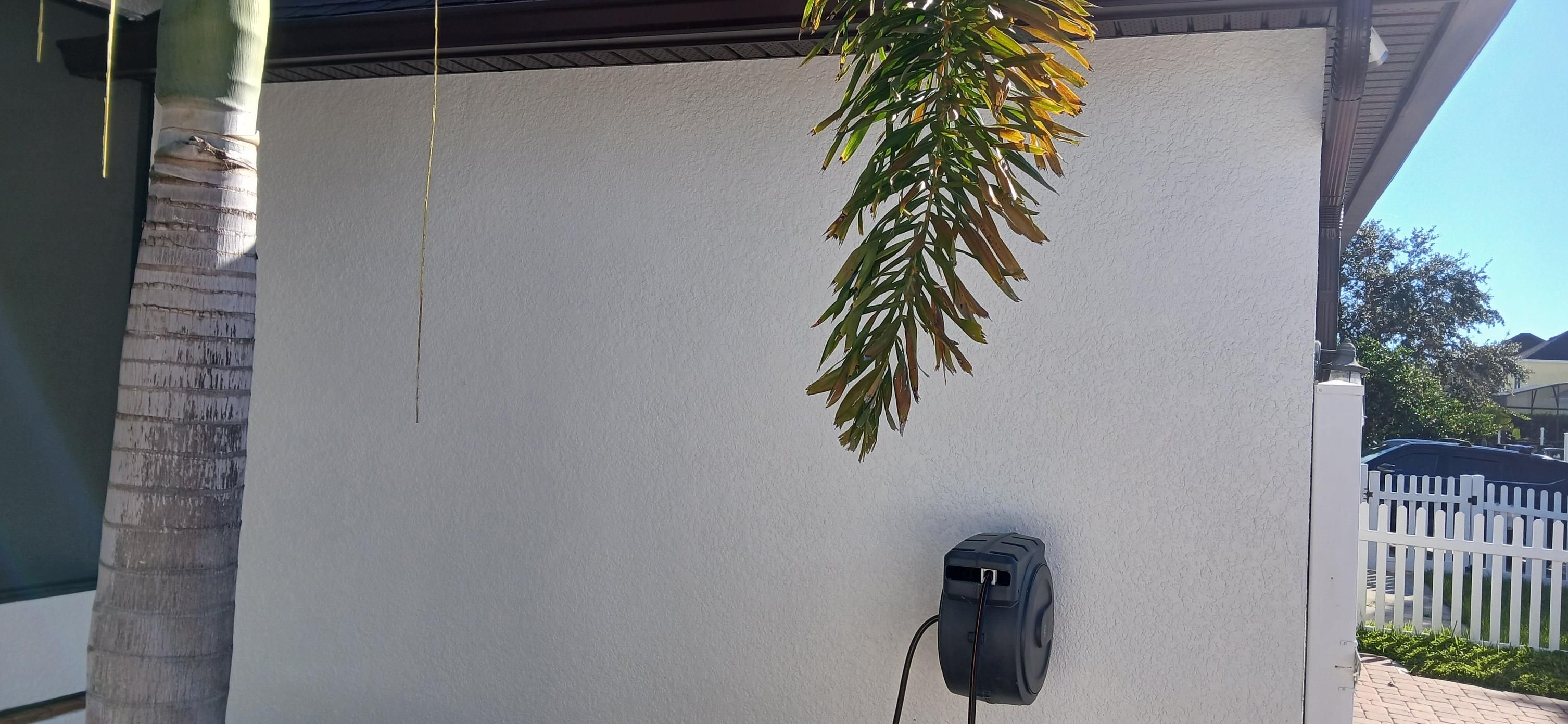  for Bradley Bradshaw Painting in Christmas, FL