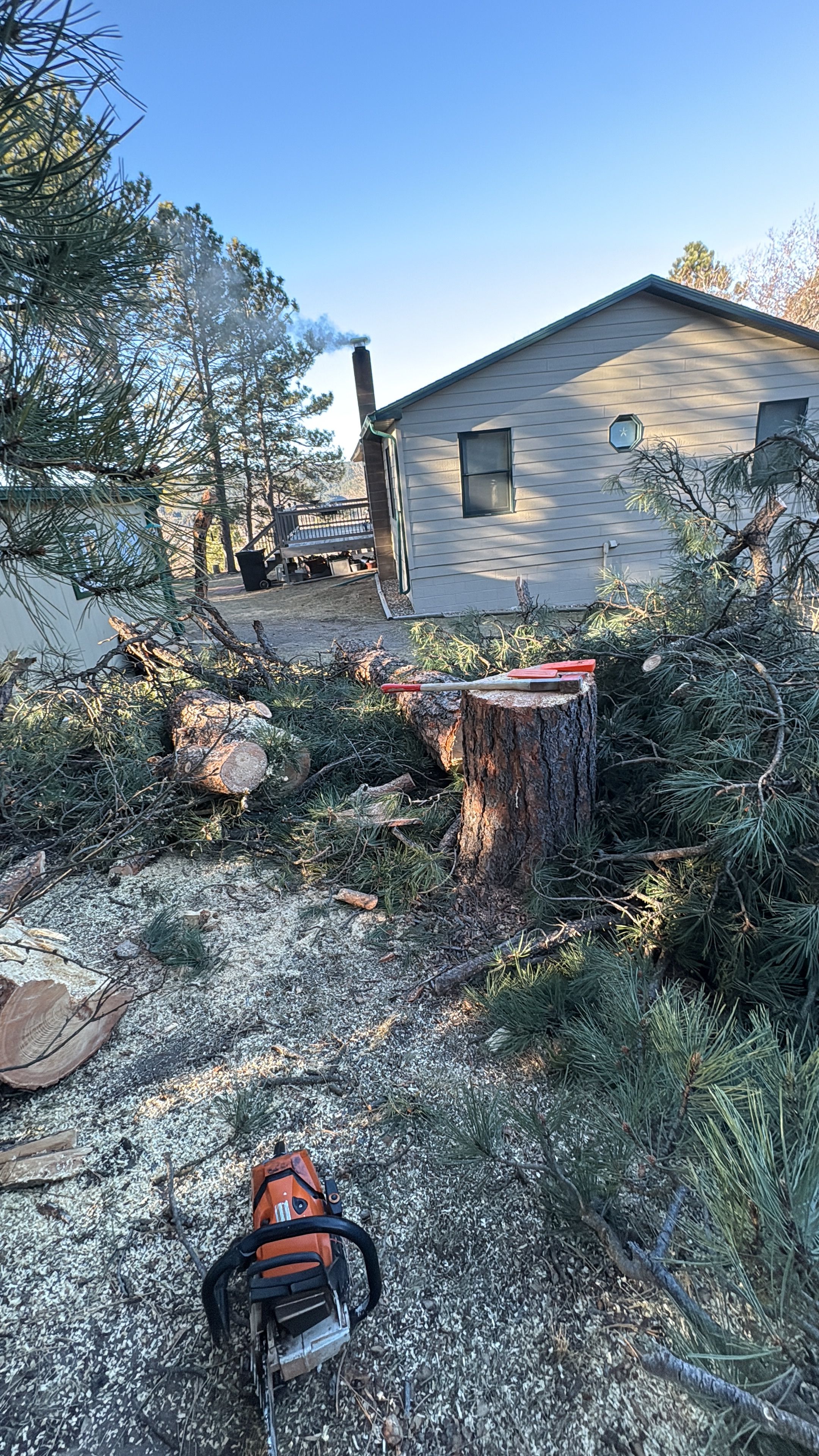  for Elevated Tree Care in Gillette, WY