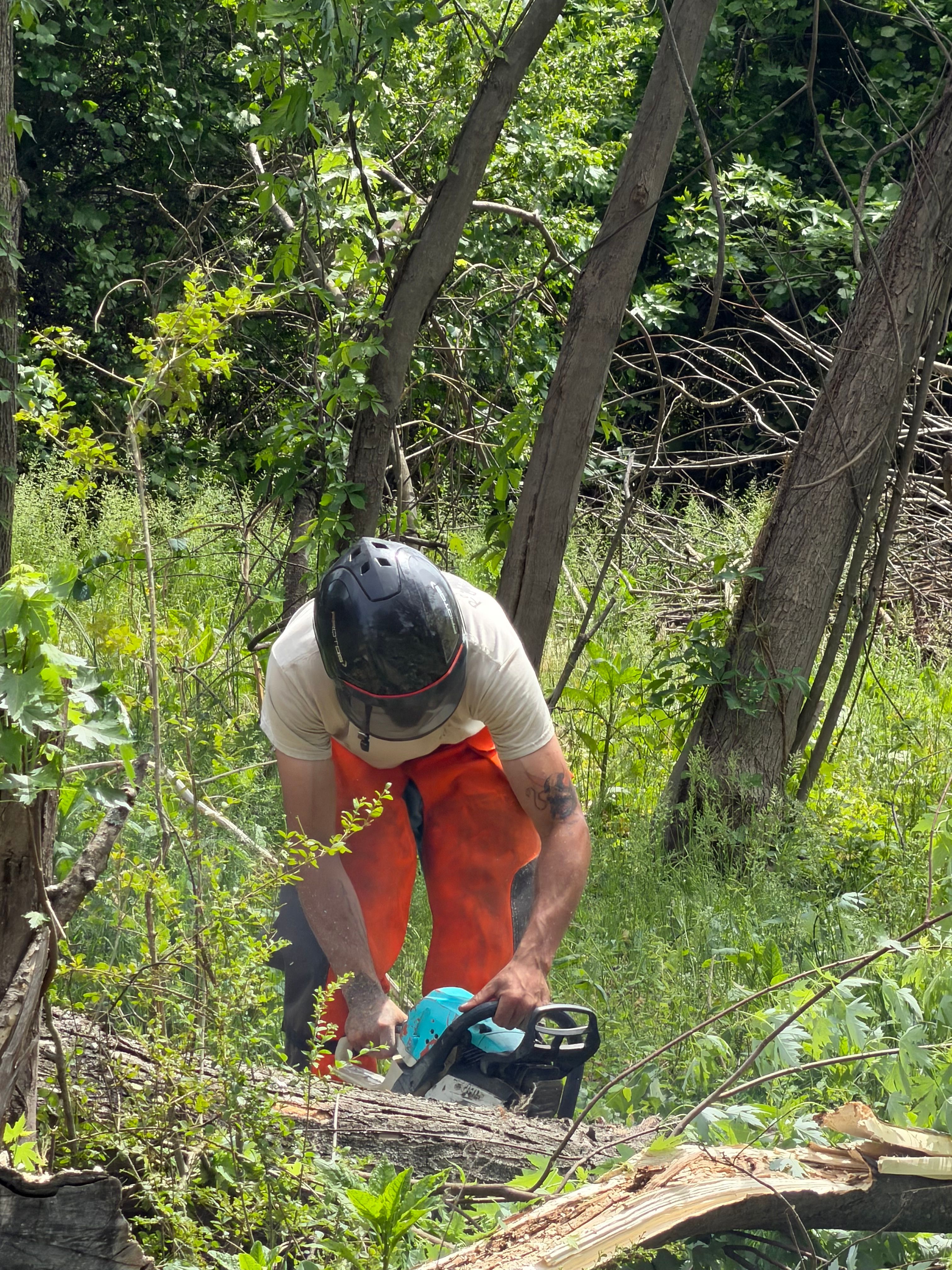  for Ramirez Tree Care in Elkin, NC