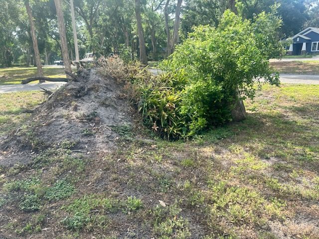  for Greene Acres Stump Grinding in Plant City, FL