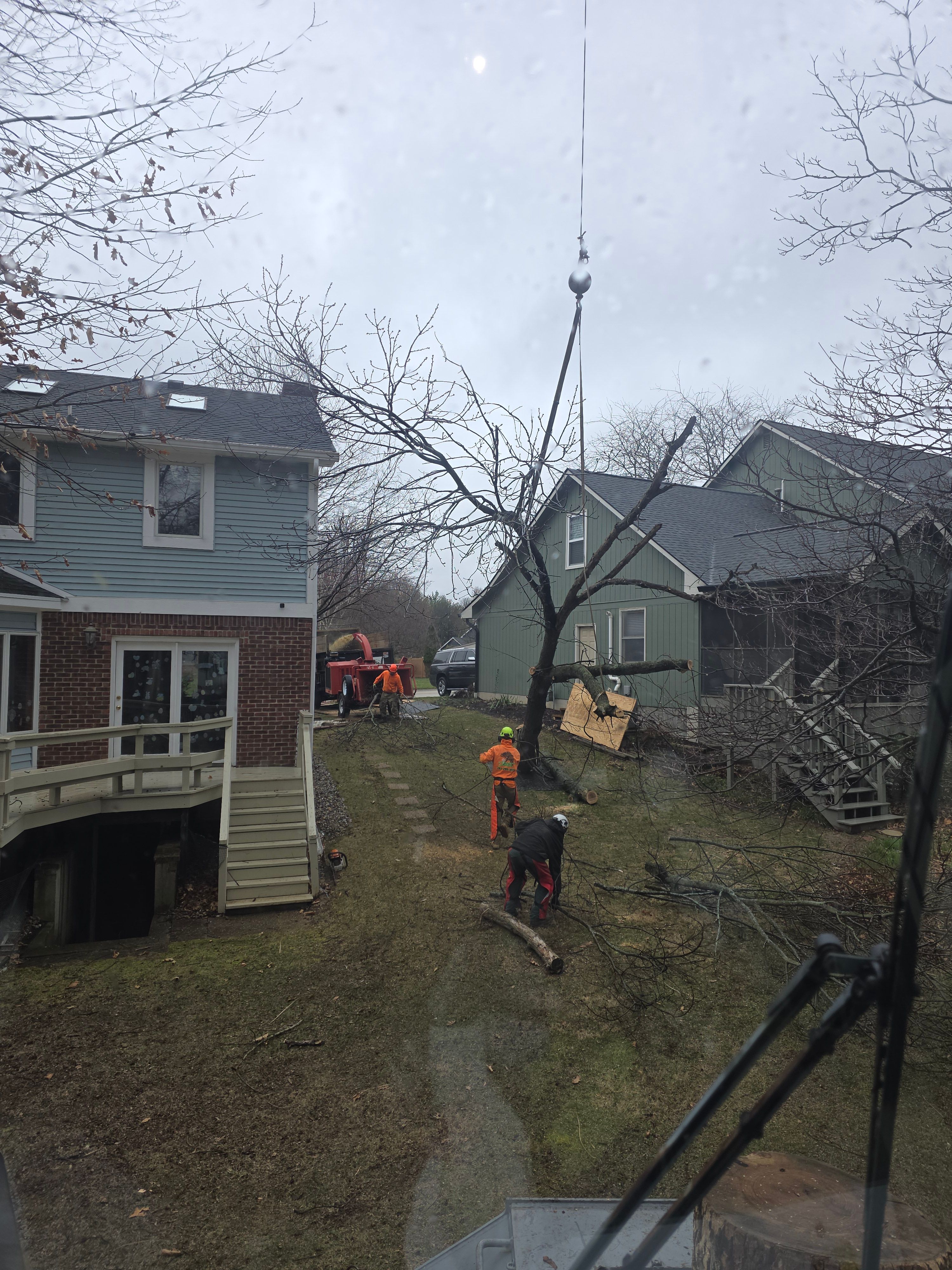  for Advanced Tree Solutions in Rockville, IN