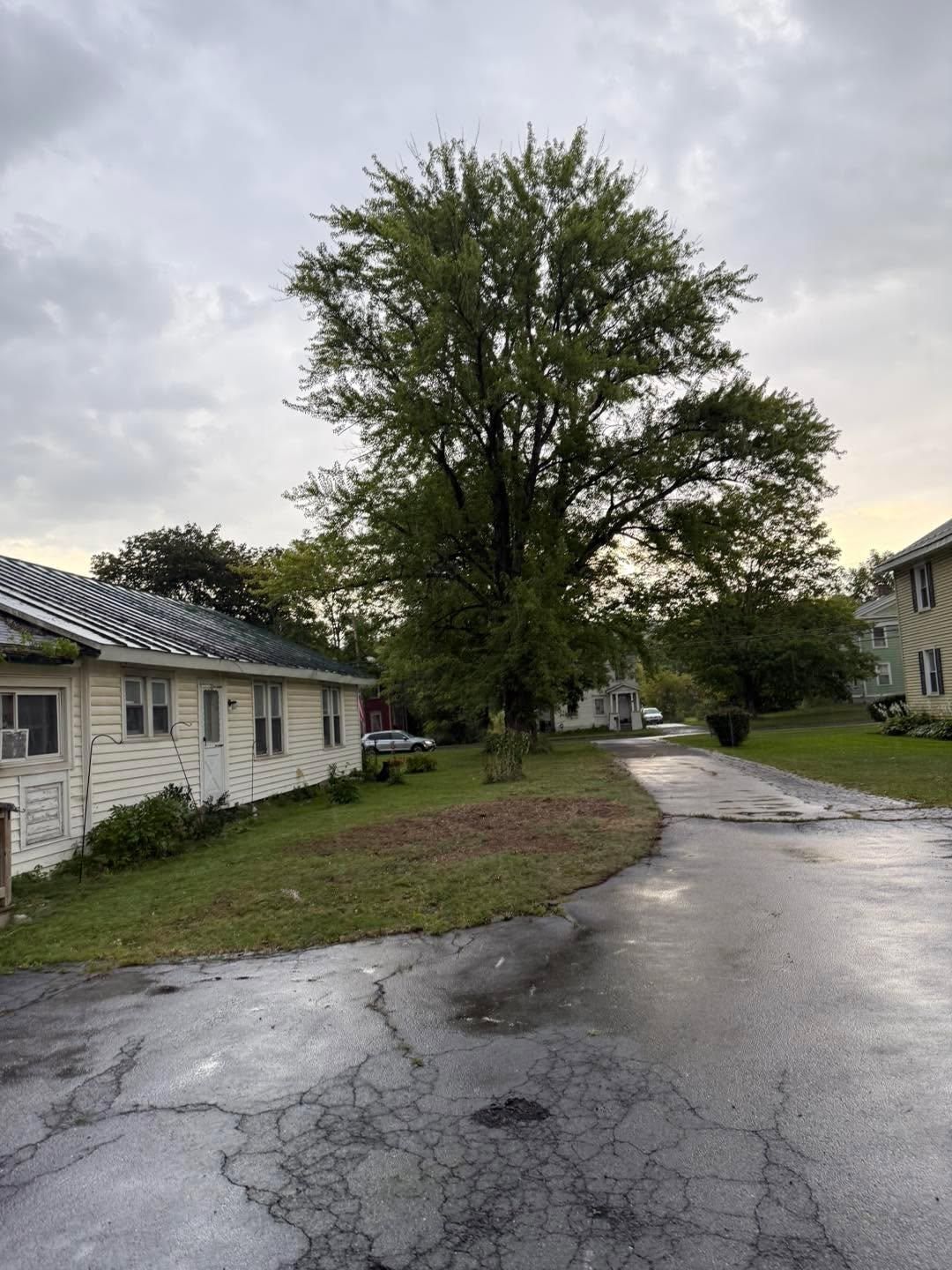  for Sterlings Tree Removal in Cobleskill, New York