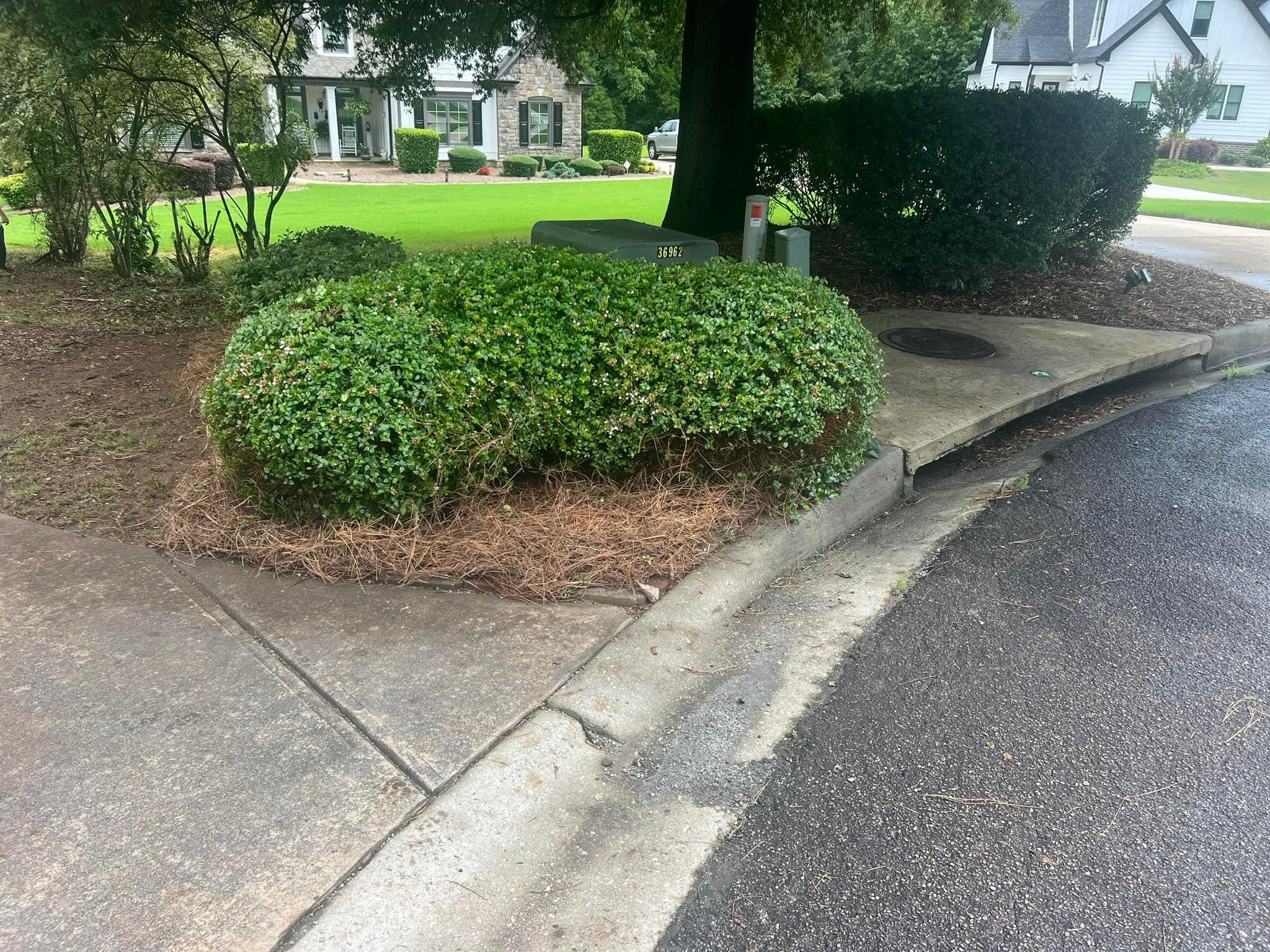 All Photos for Sexton Lawn Care in Jefferson, GA