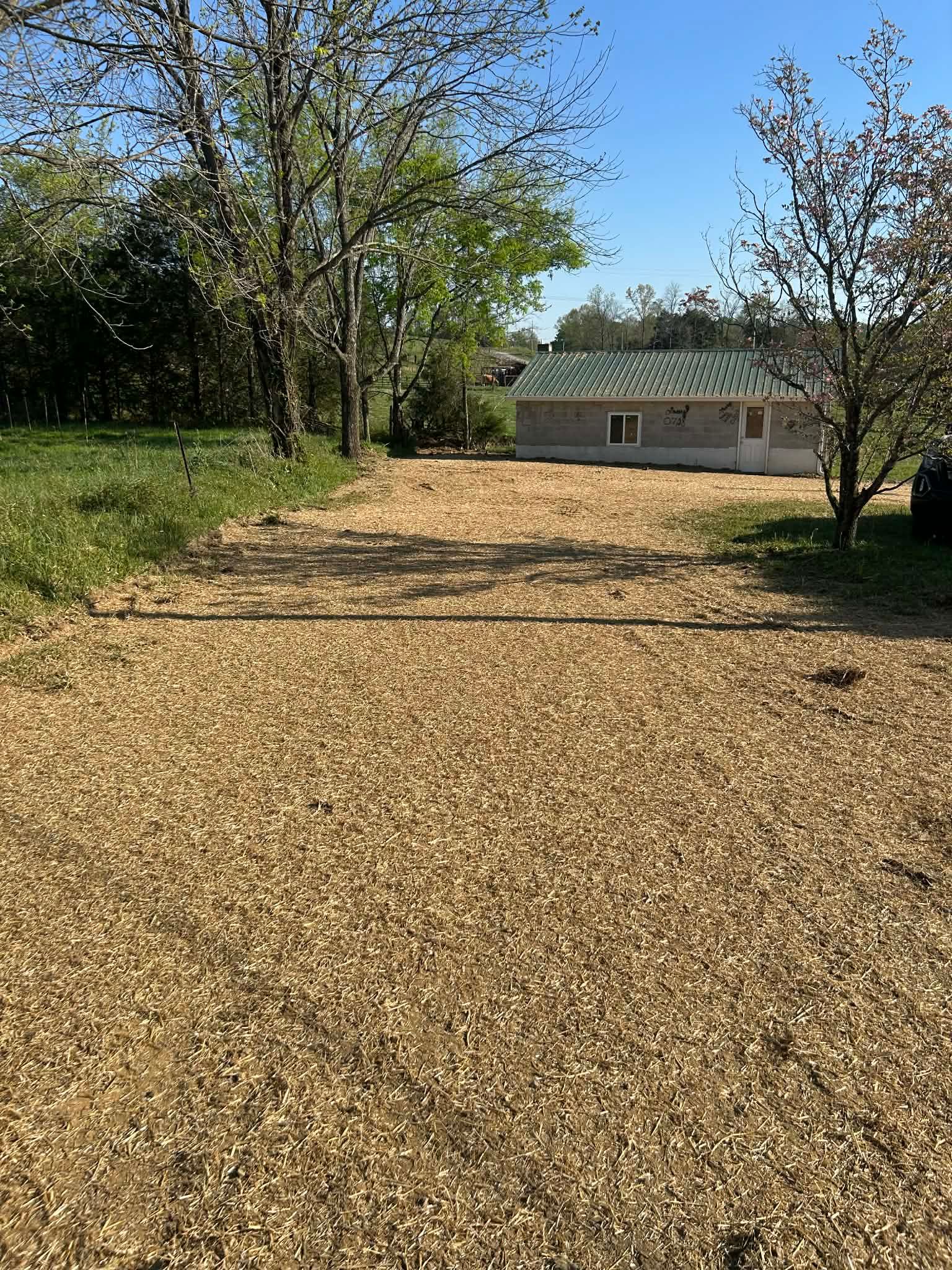  for Z's Land Management & Forestry Mulching in Smithville, TN