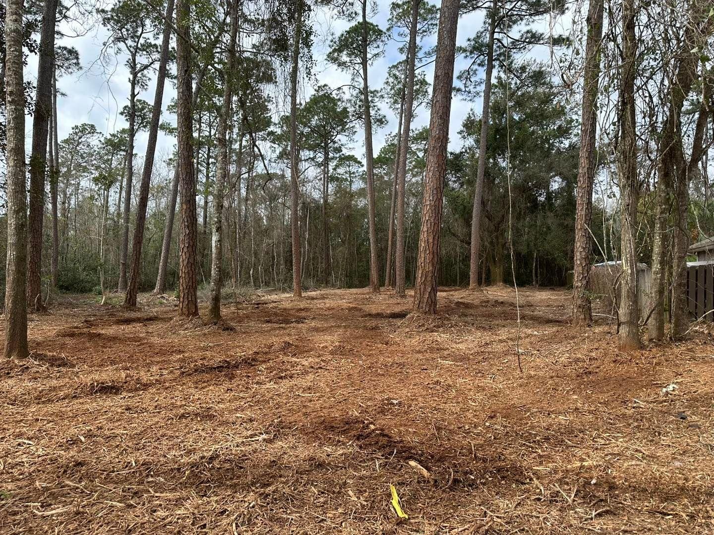  for White’s Land Maintenance in Milton,, FL