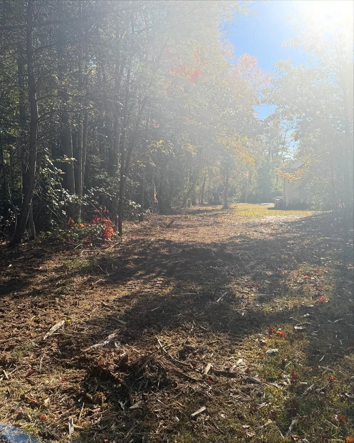  for T Crane Grading LLC in Clarkesville, GA