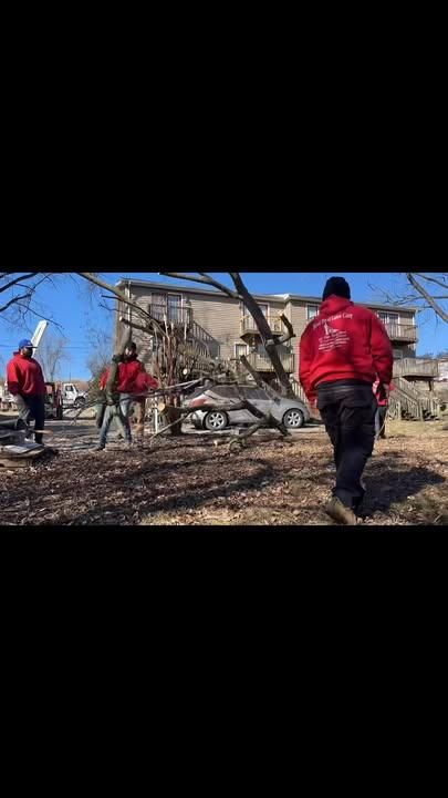 All Photos for Real Deal Lawn Care in Goodlettsville, TN