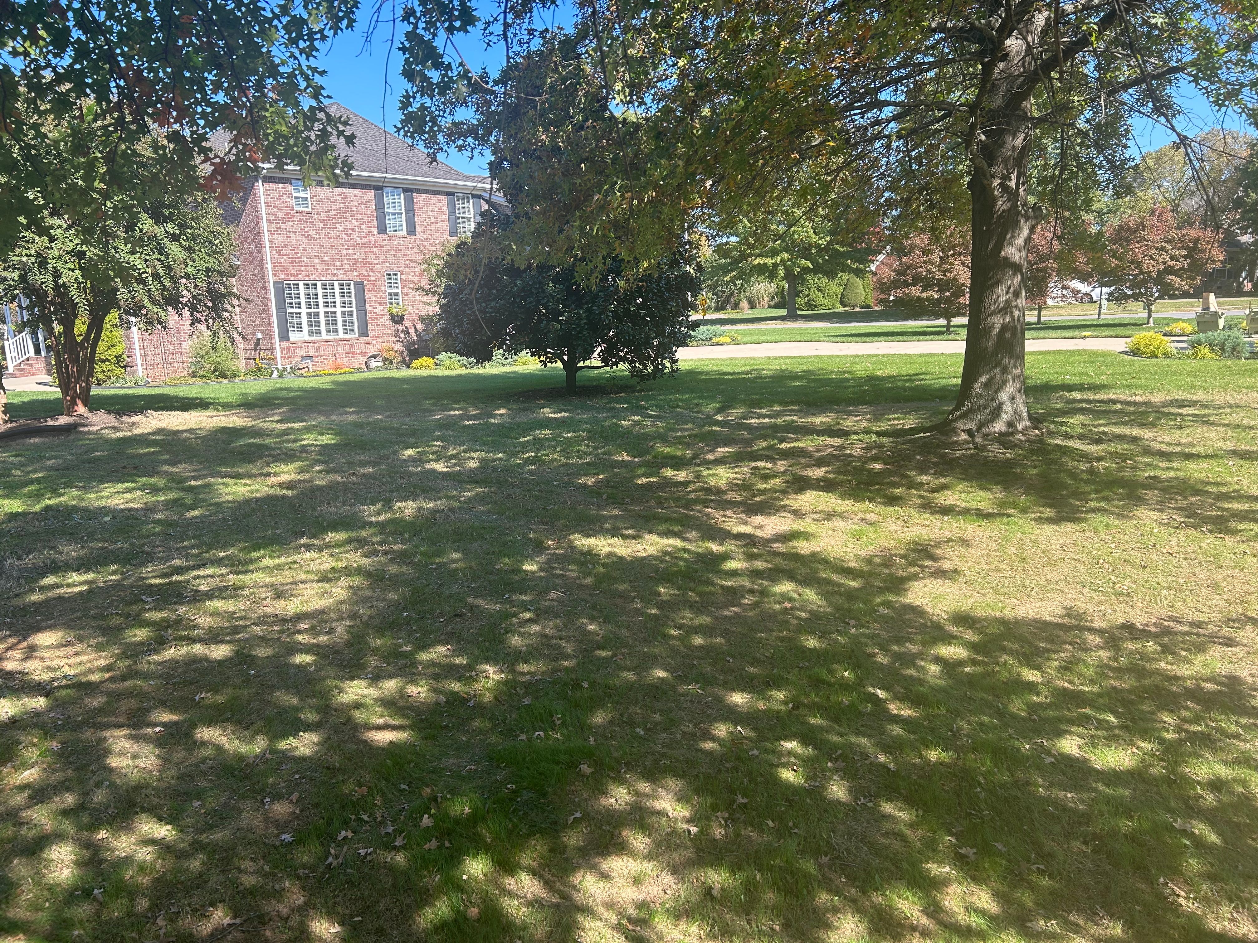 All Photos for MLC in Murfreesboro, TN