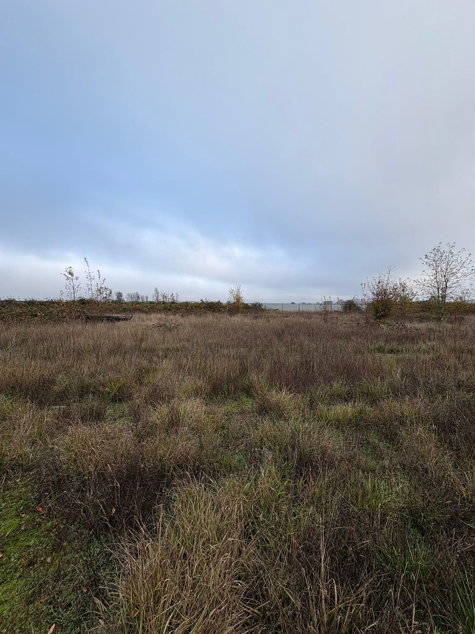  for Limitless Excavation & Land Clearing in Eugene, OR