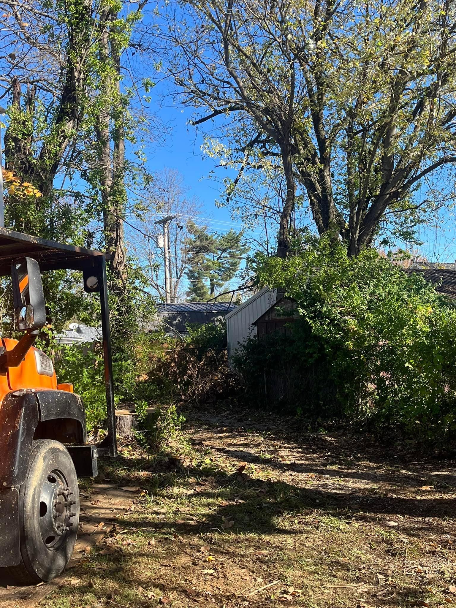  for Curtis Tree Service LLC in Hopkins County, KY