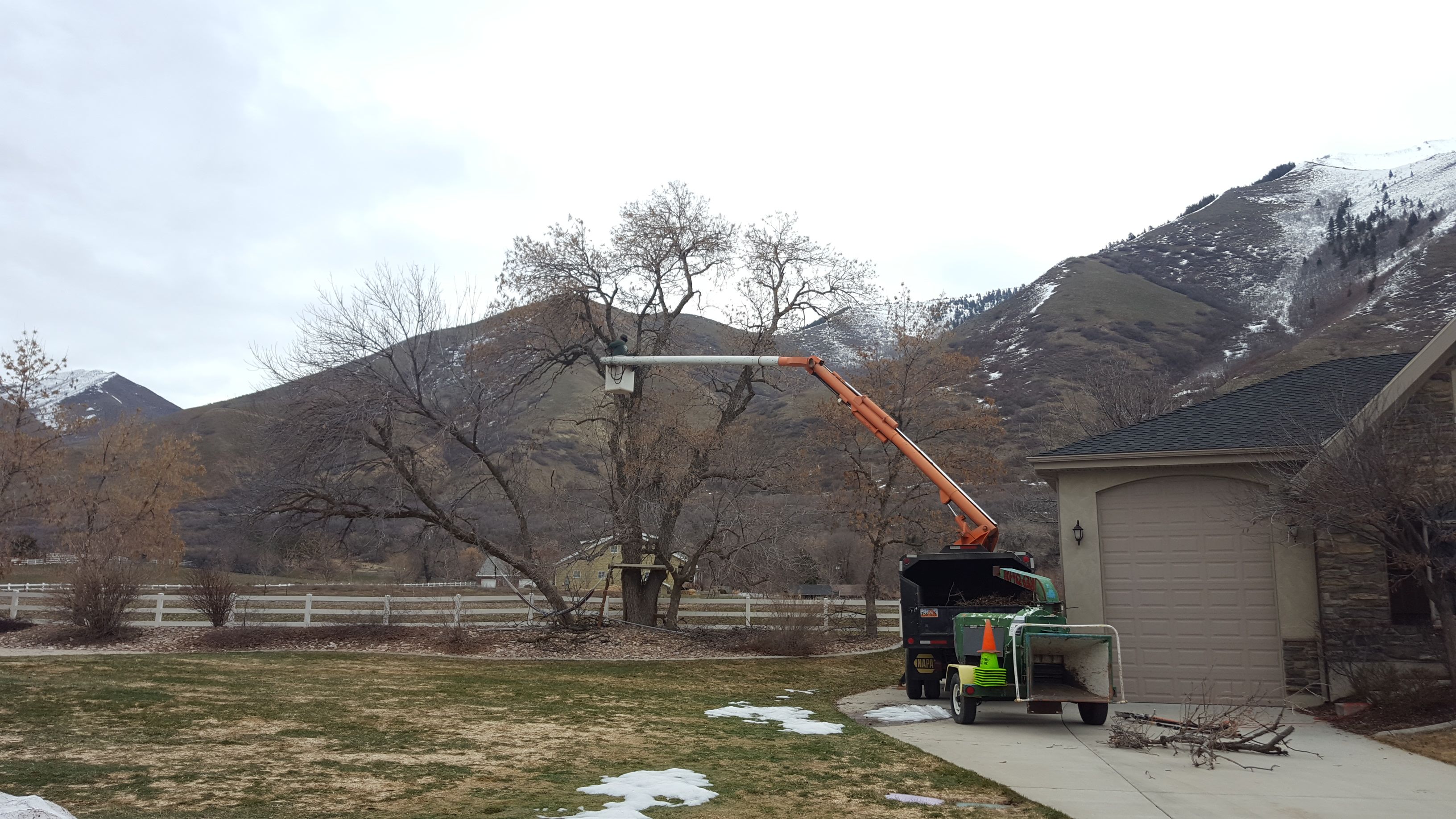  for Platinum Lawn Service in Santaquin, UT