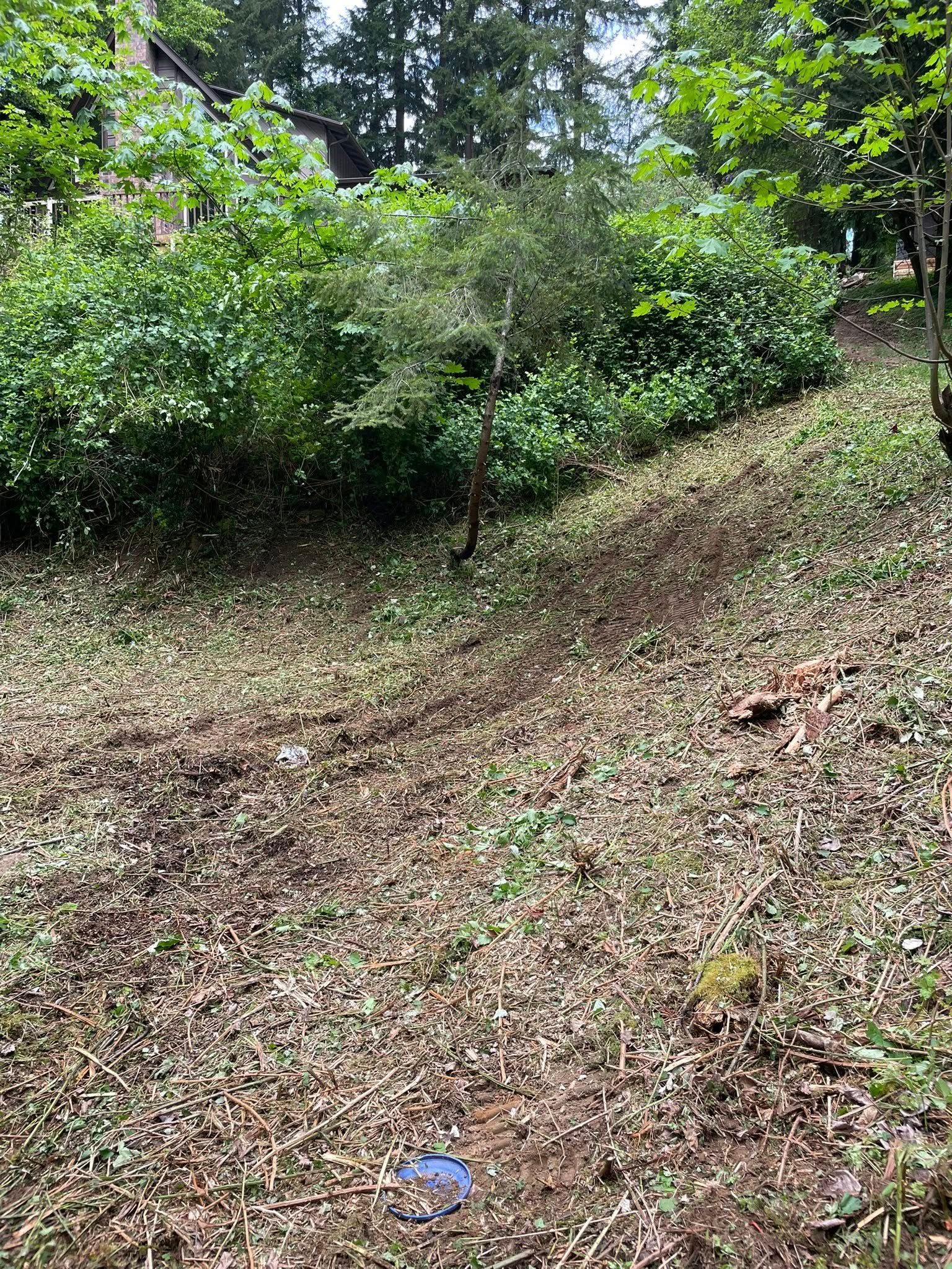  for Wilderness Stump Grinding in Orting, WA