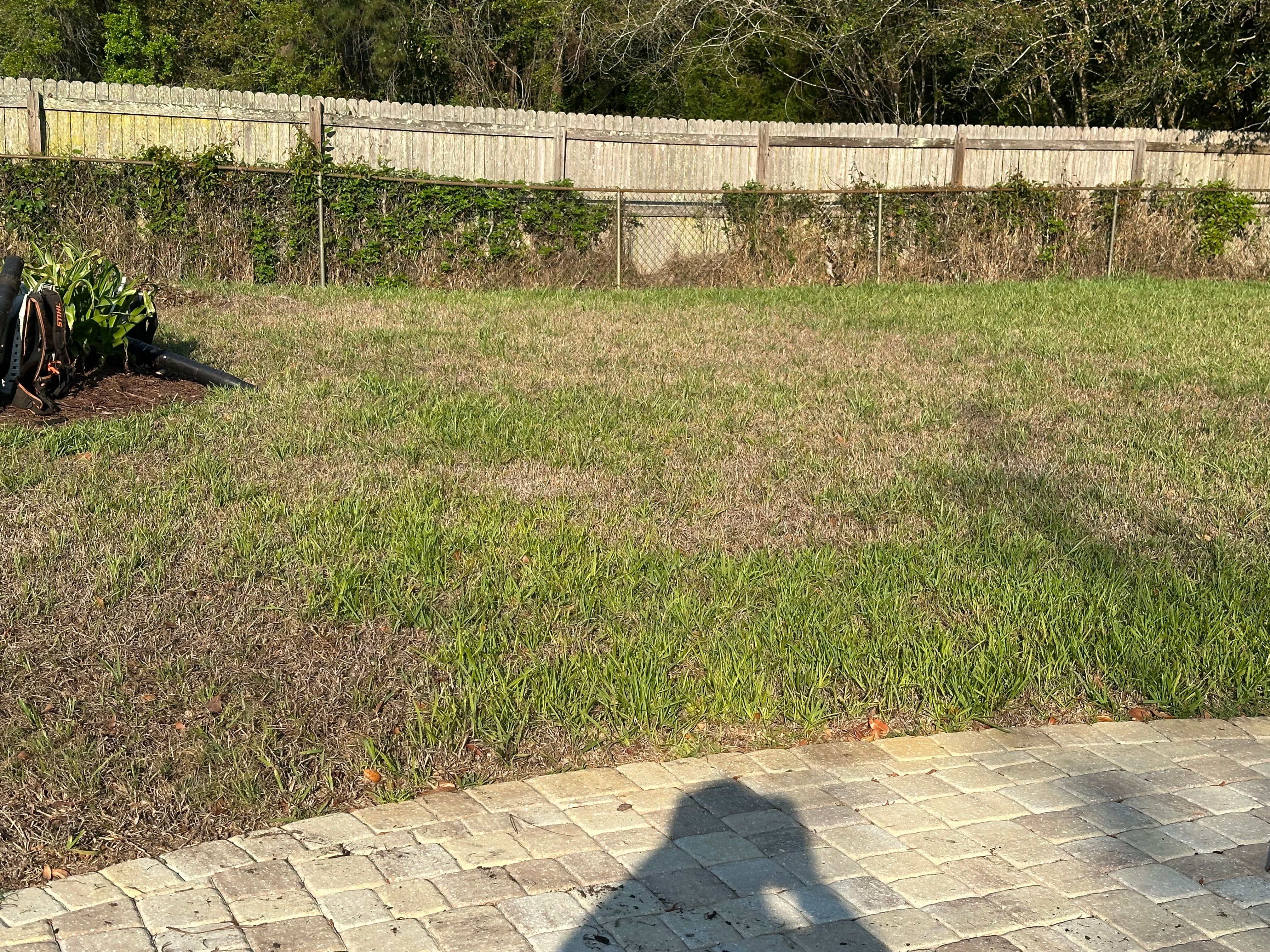All Photos for All of the Above Landscaping in Orange Park, FL