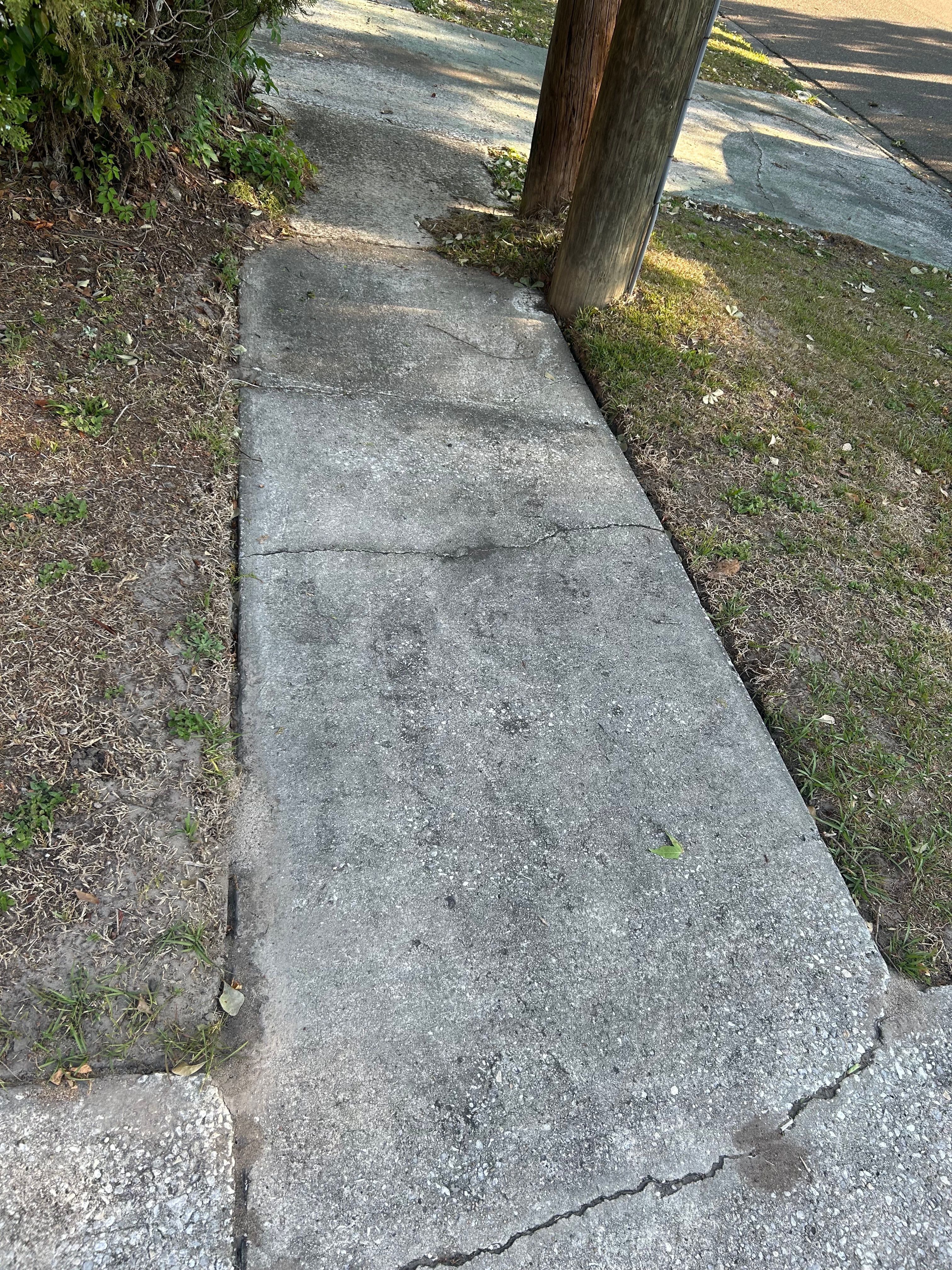  for Project Masters Group in Tampa, FL
