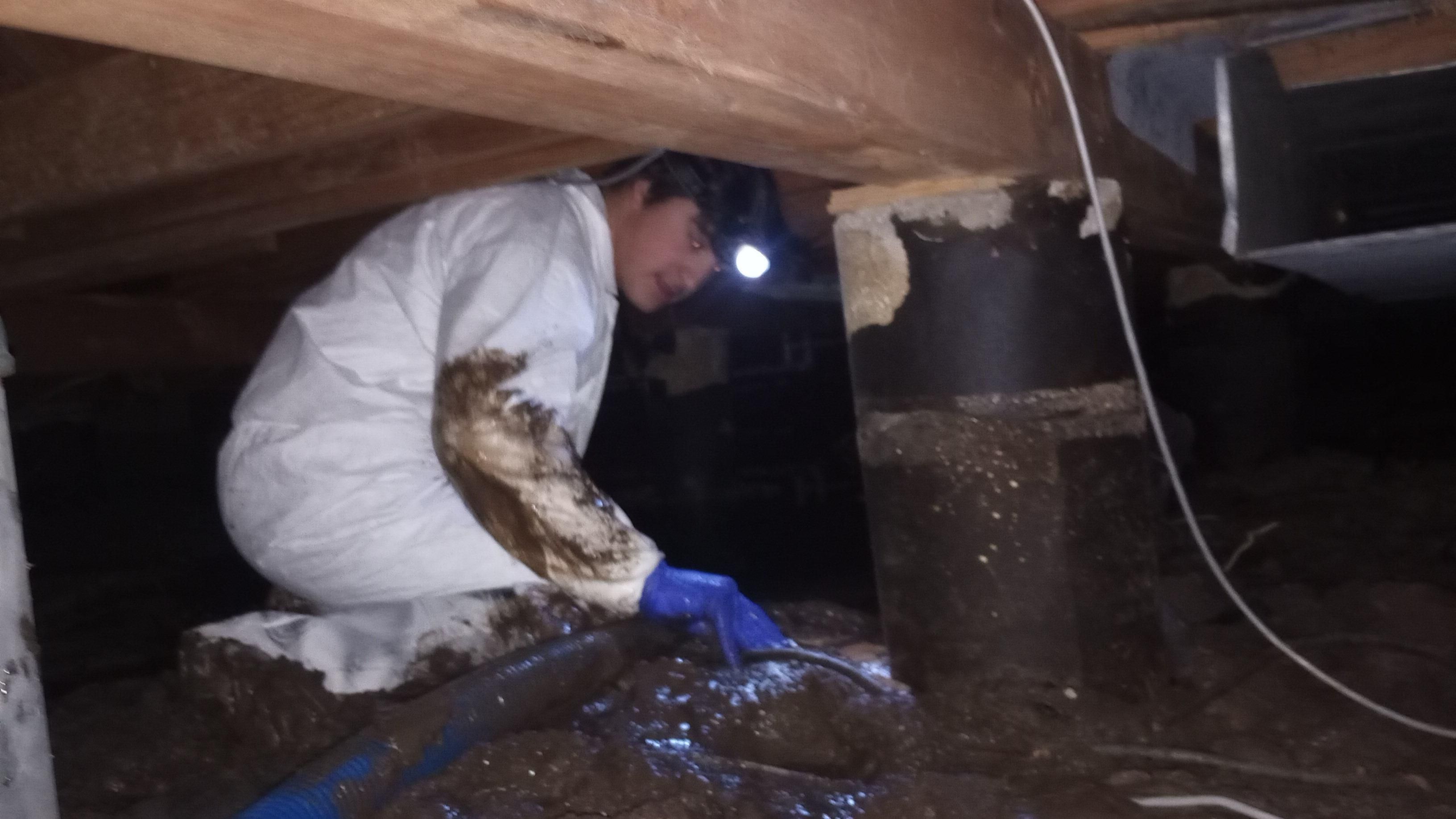 All Photos for Steam Team Restoration and Cleaning in Amarillo, TX