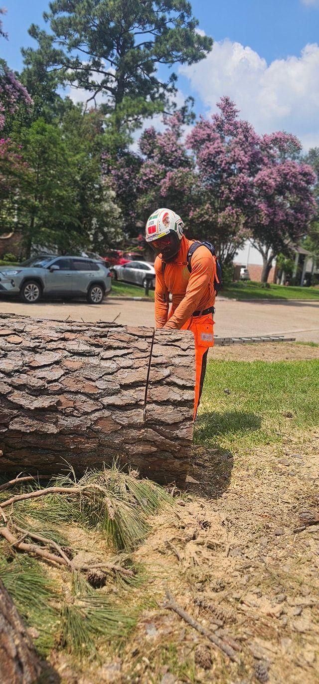  for Servin's Tree Care  in Houston, TX