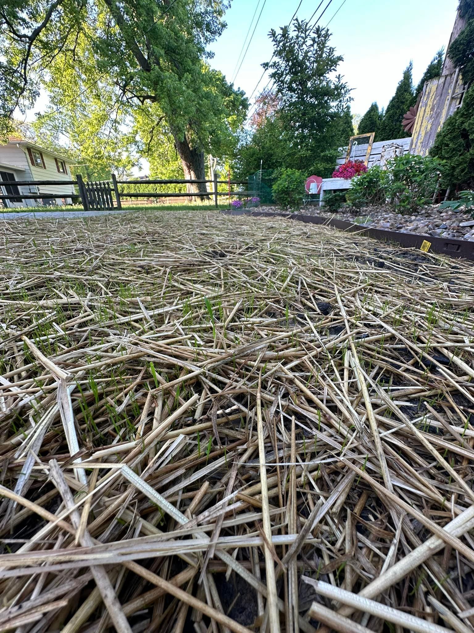  for Turf Rehab in Sandusky, OH