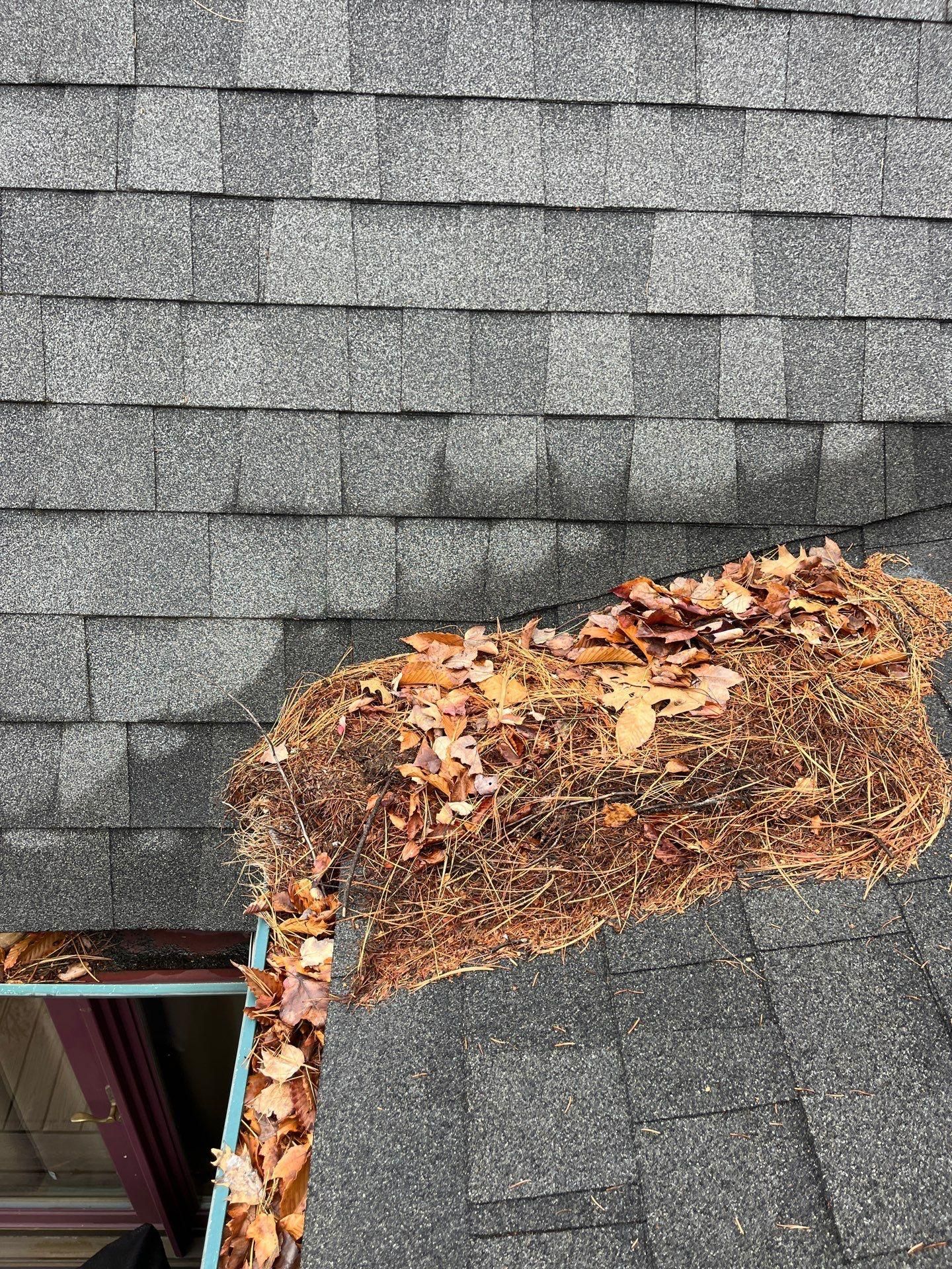  for Jalbert Contracting LLC in Alton, NH