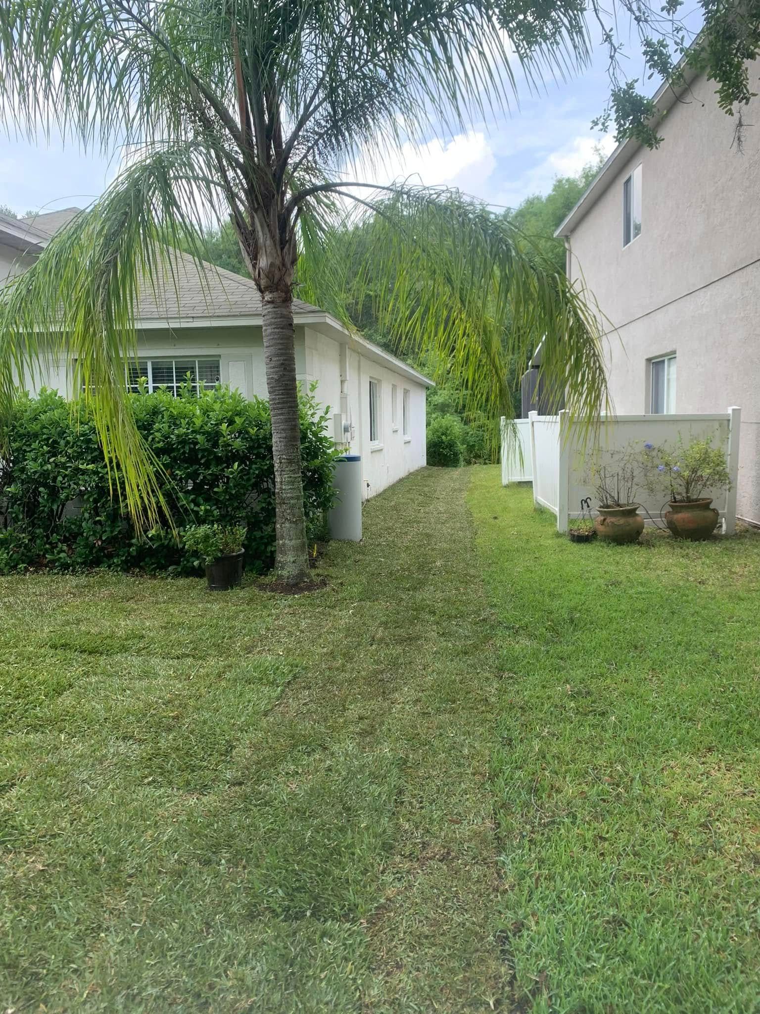  for Gulf Bay Sod in Clearwater, FL