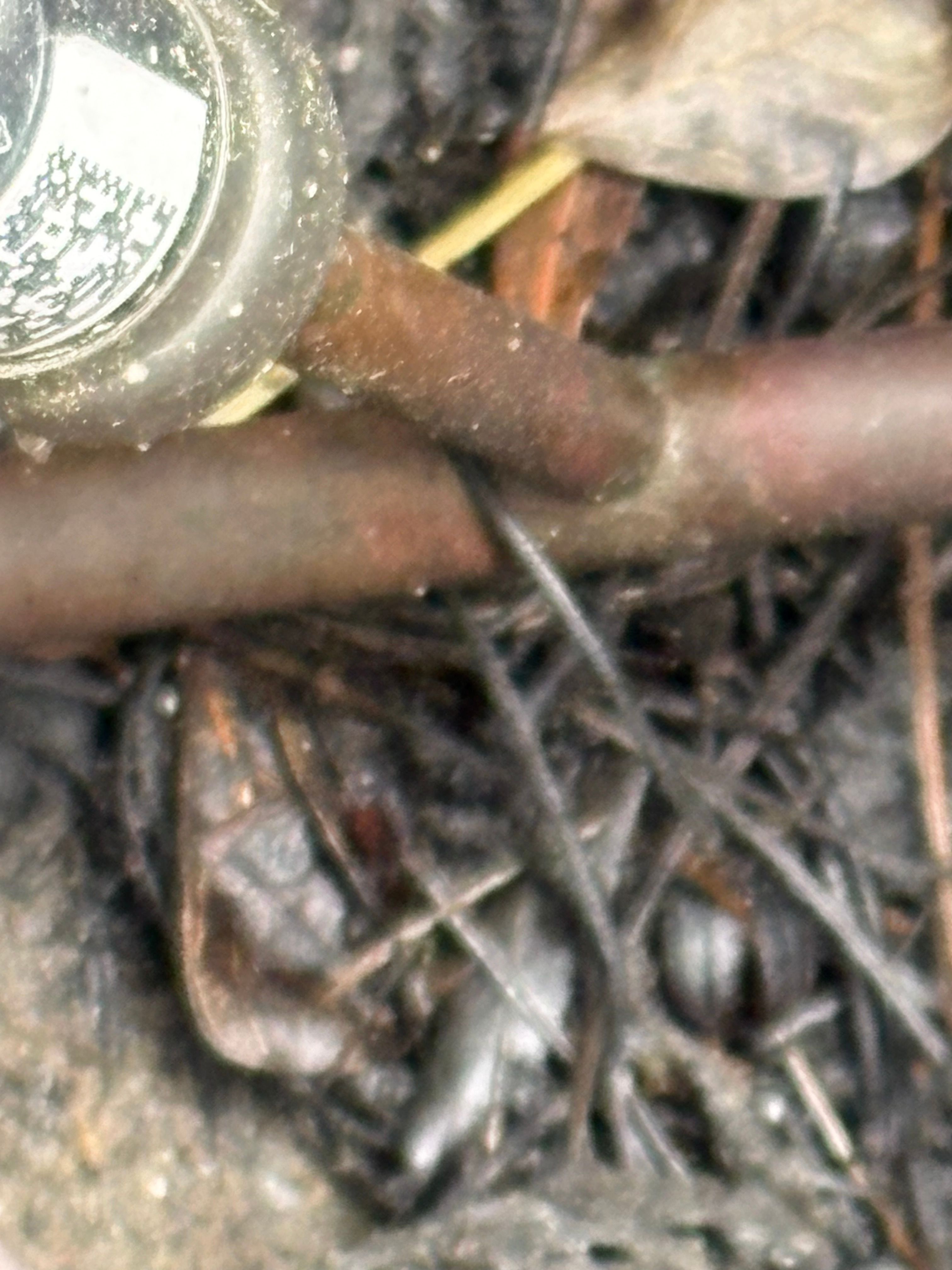  for Big Country Mechanical in Charleston, SC