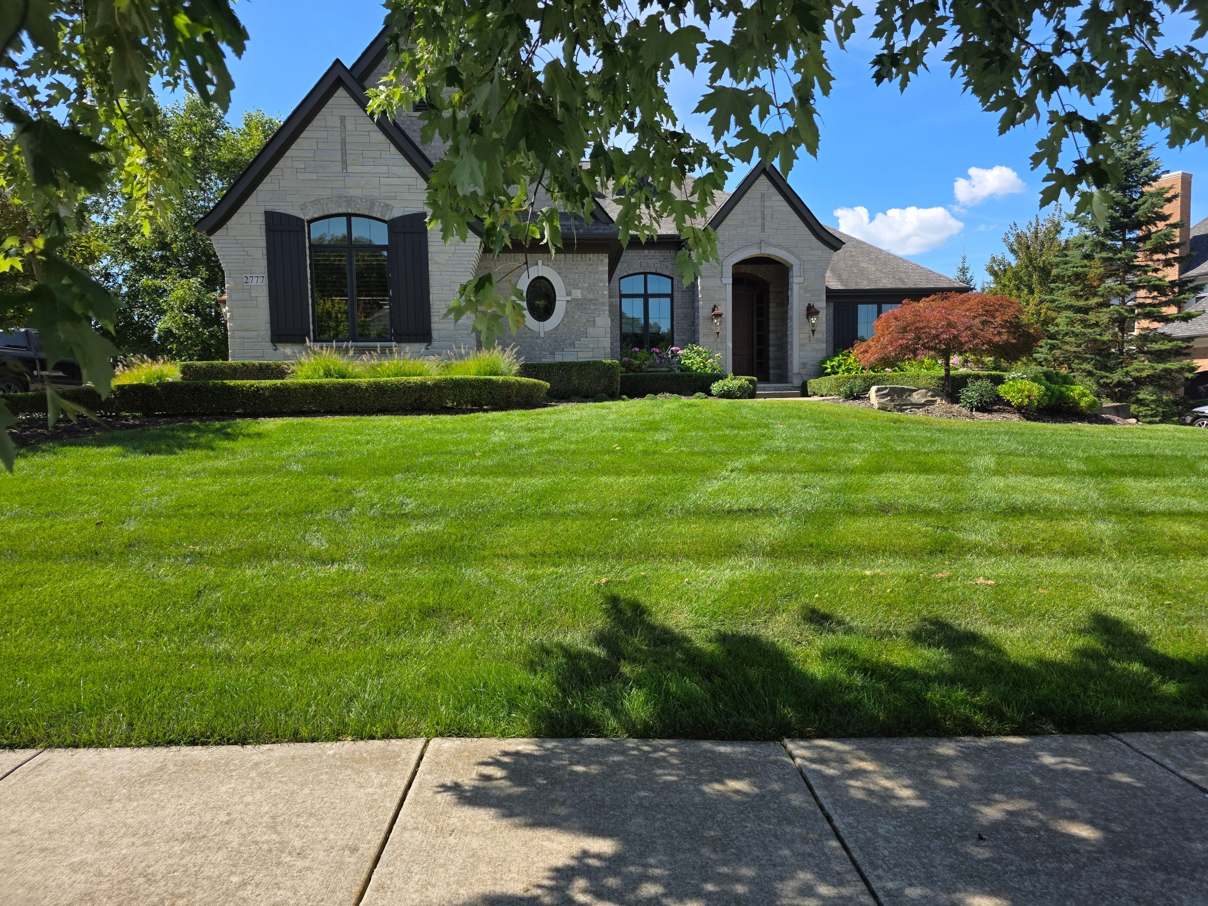  for Ivy Lawn and Landscaping in Oxford, MI