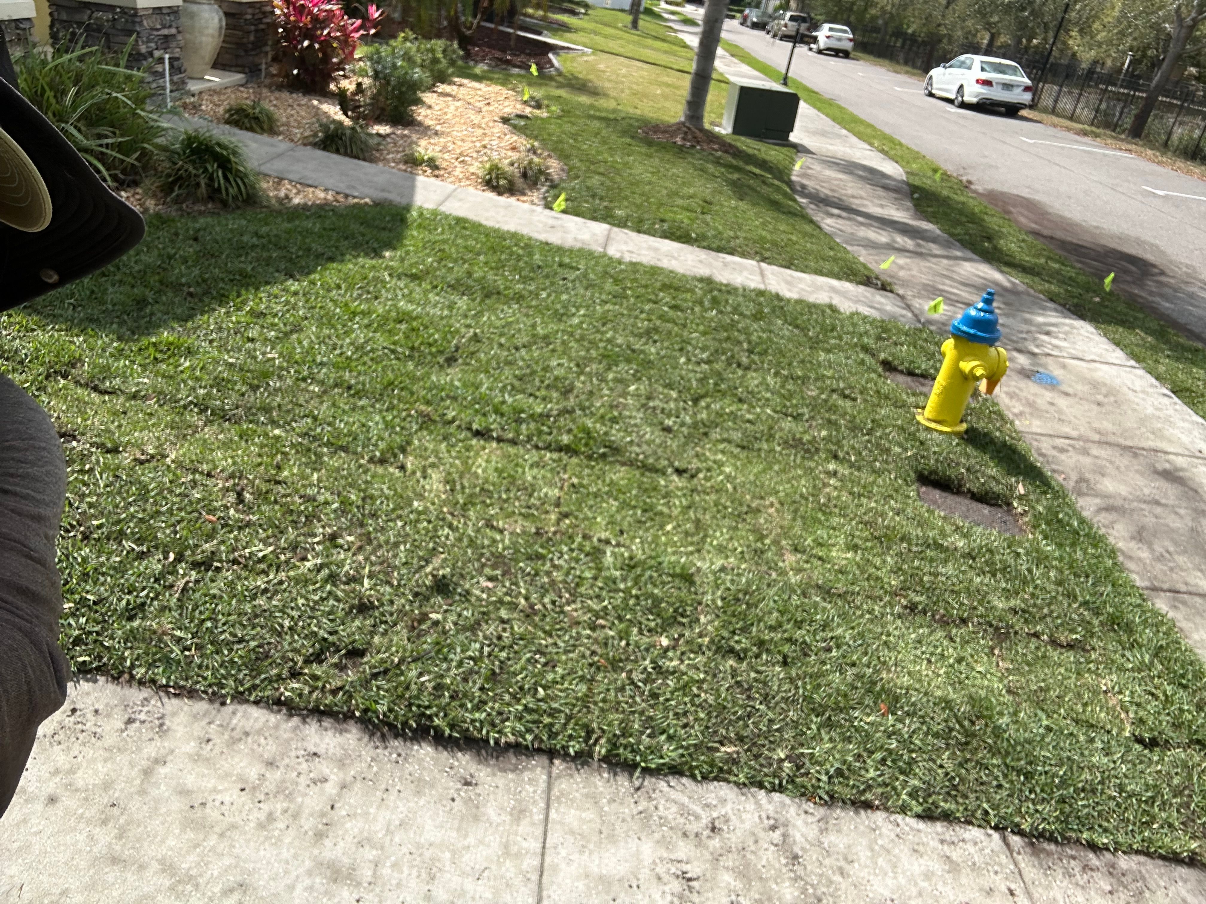 All Photos for Gulf Bay Sod in Clearwater, FL